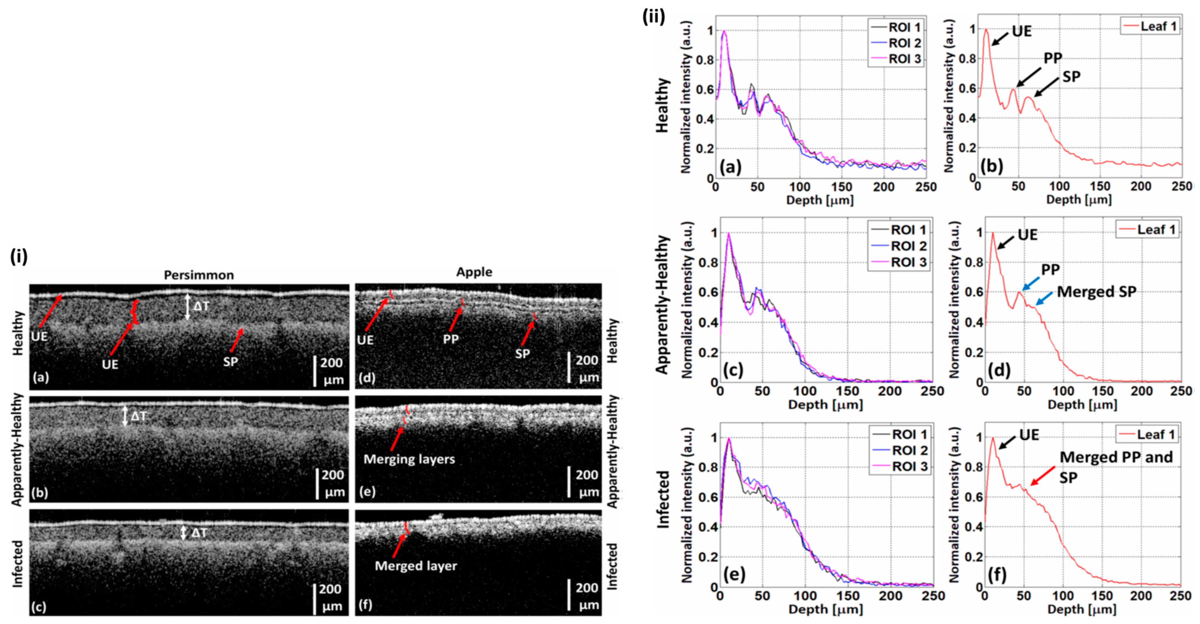 Sensors 24 00219 g006