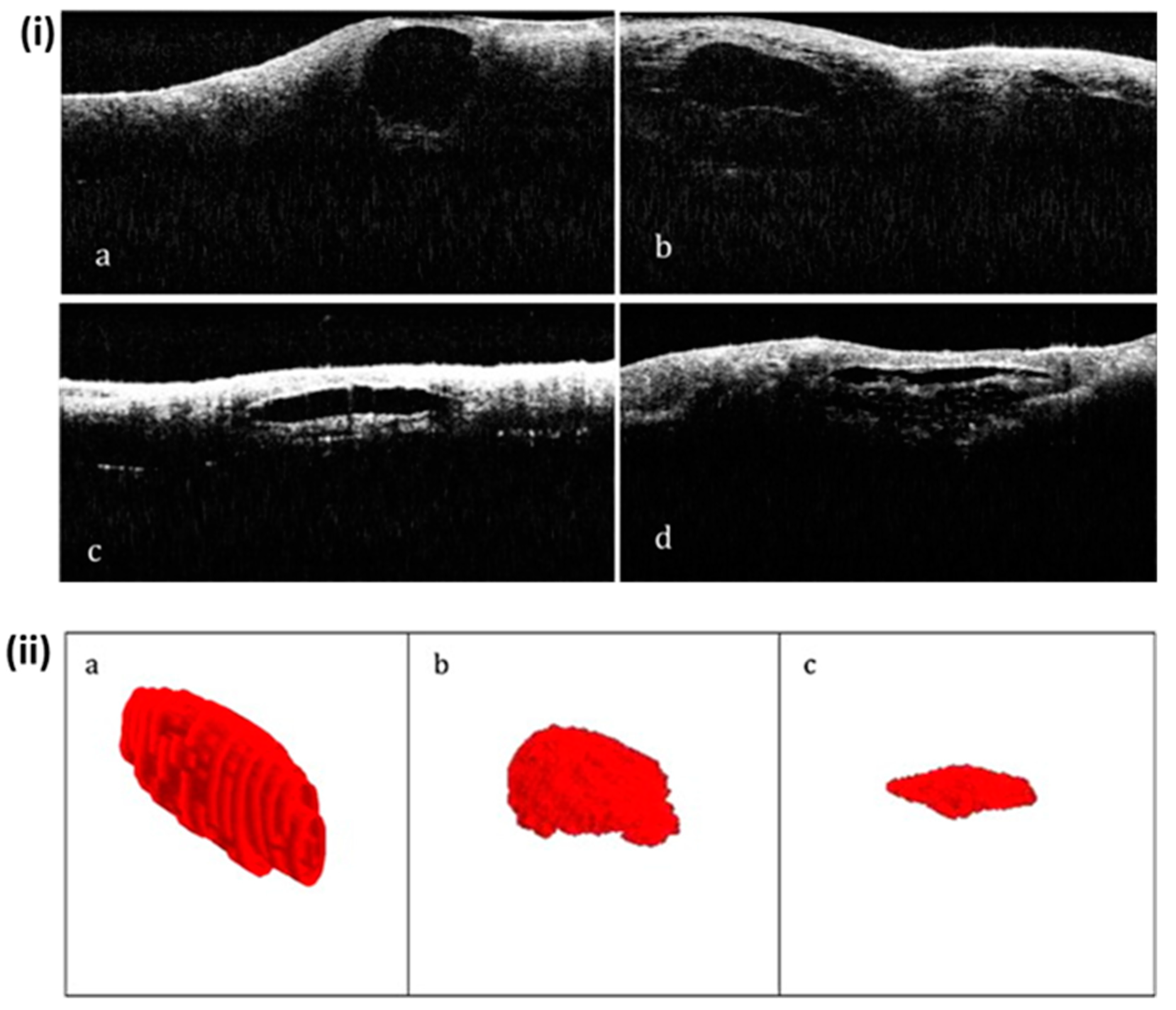 Sensors 24 00219 g009
