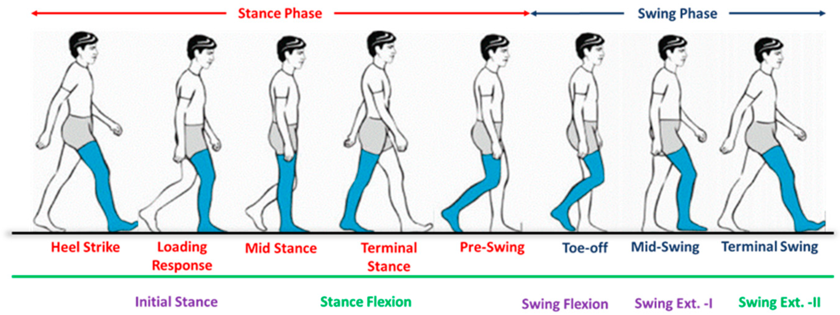 Sensors 24 00255 g008