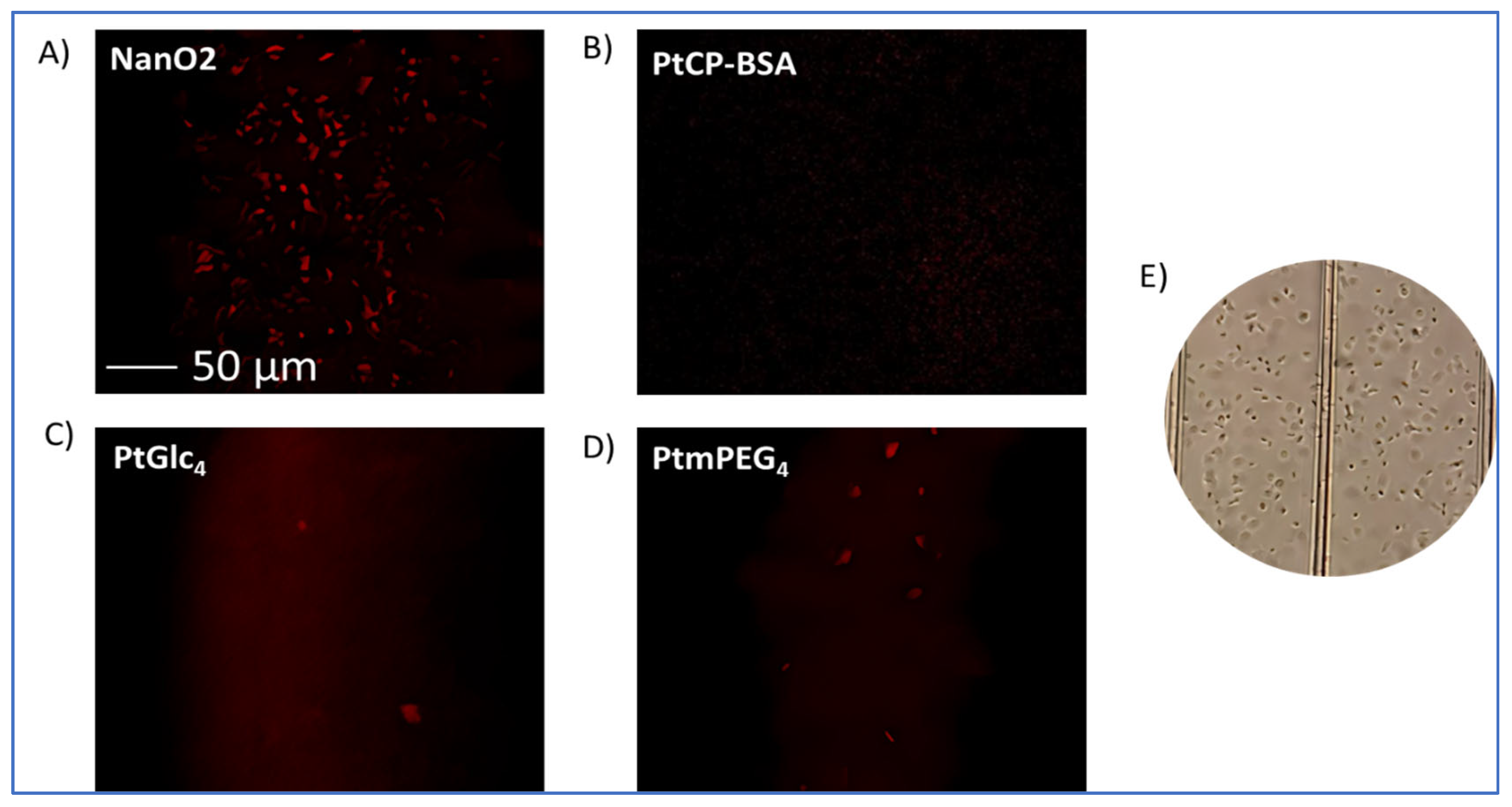 Sensors 24 00267 g006
