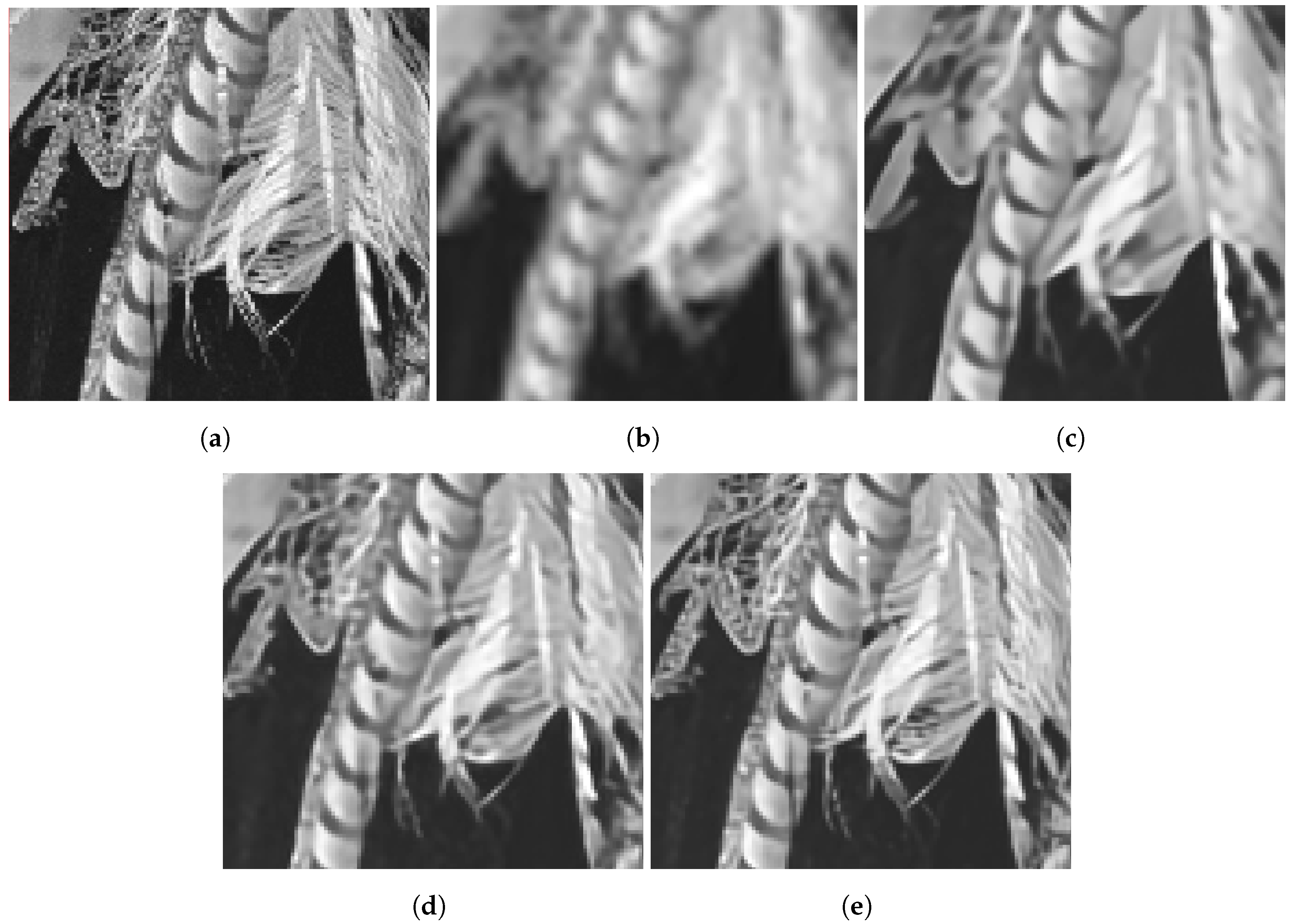 Sensors 24 00296 g009