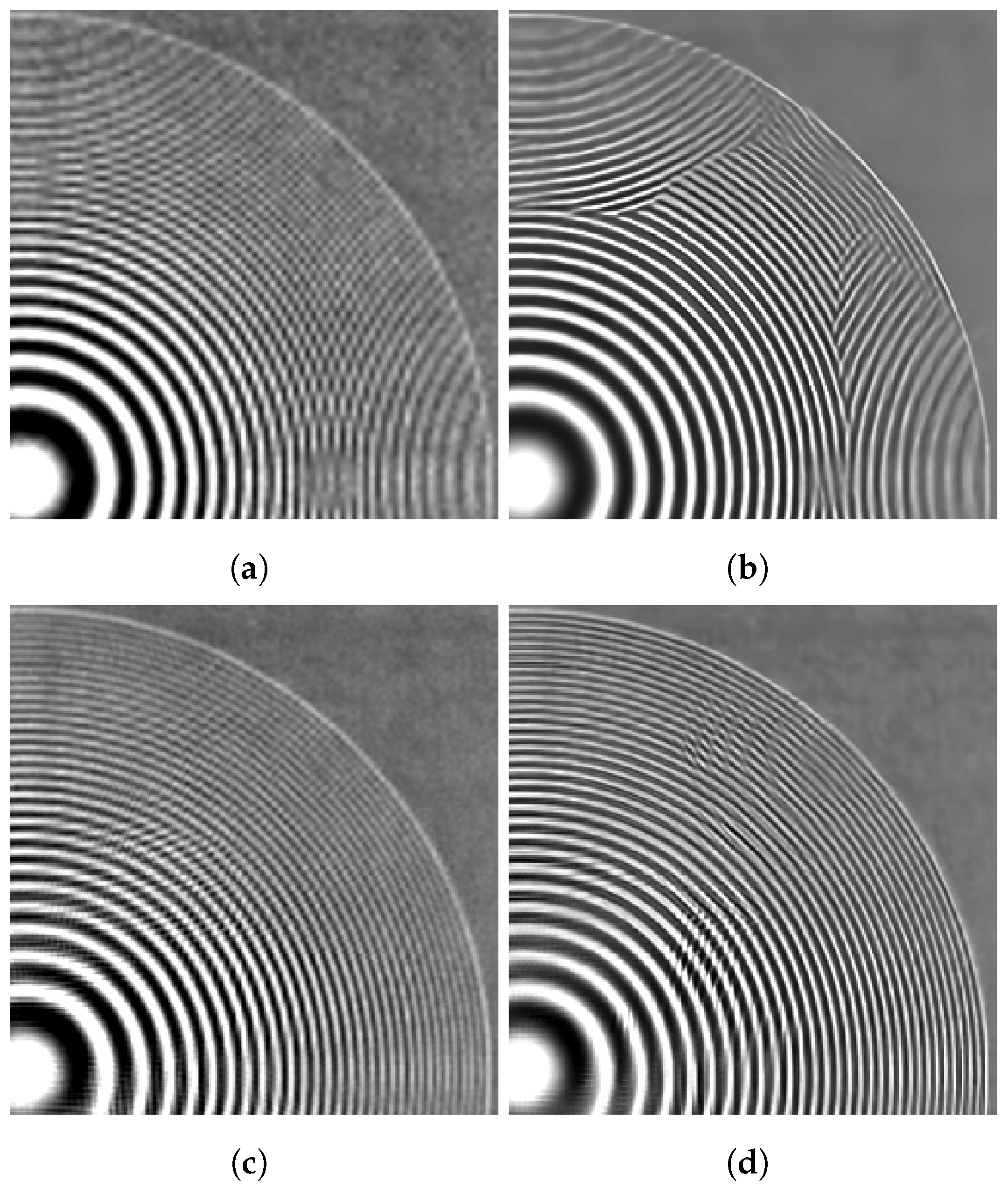 Sensors 24 00296 g012