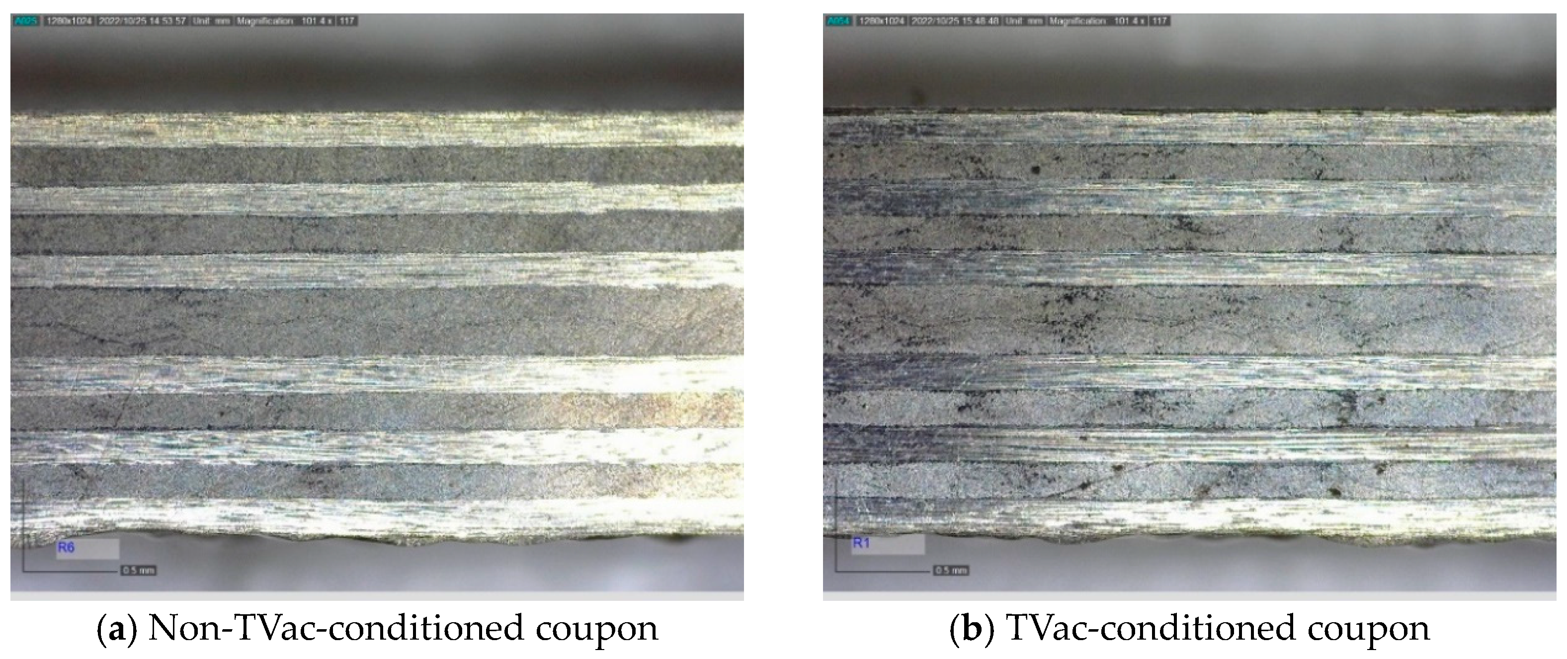 Sensors 24 00306 g013