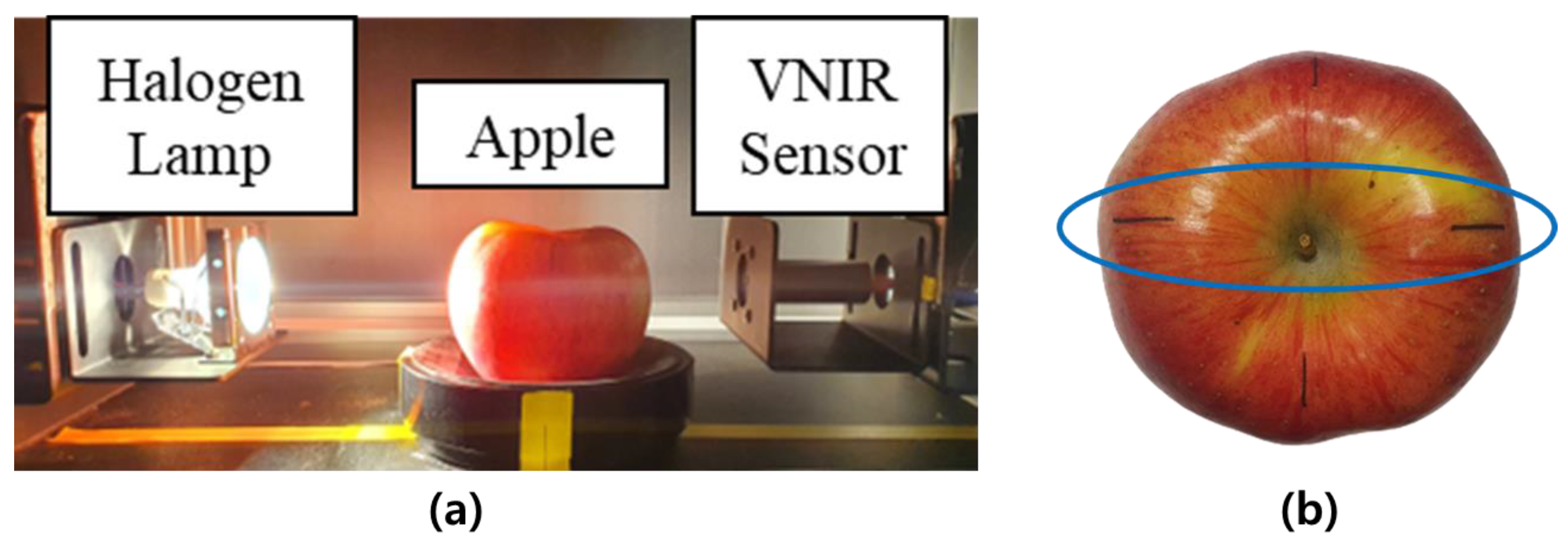 Sensors 24 00316 g001