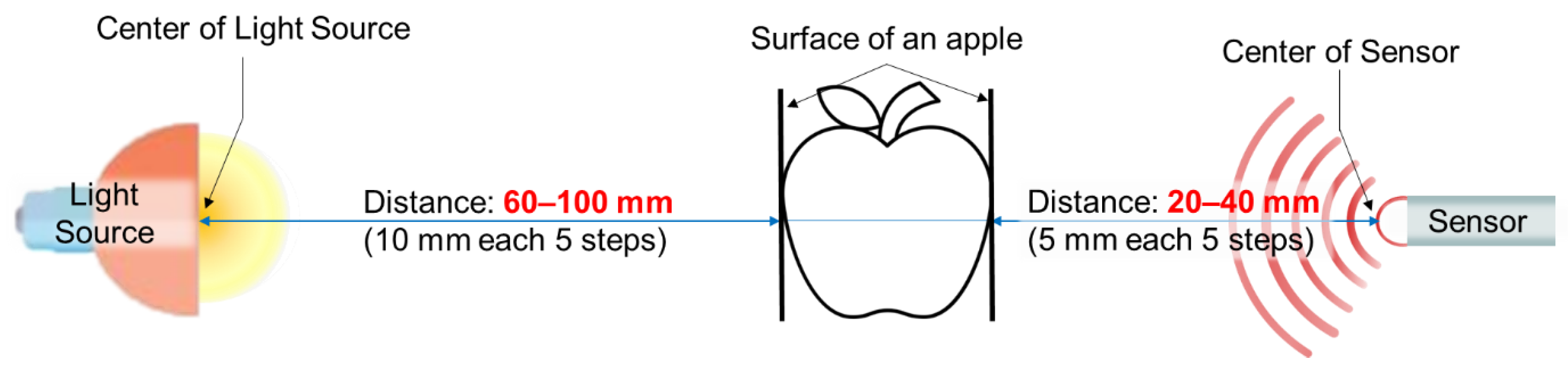 Sensors 24 00316 g002