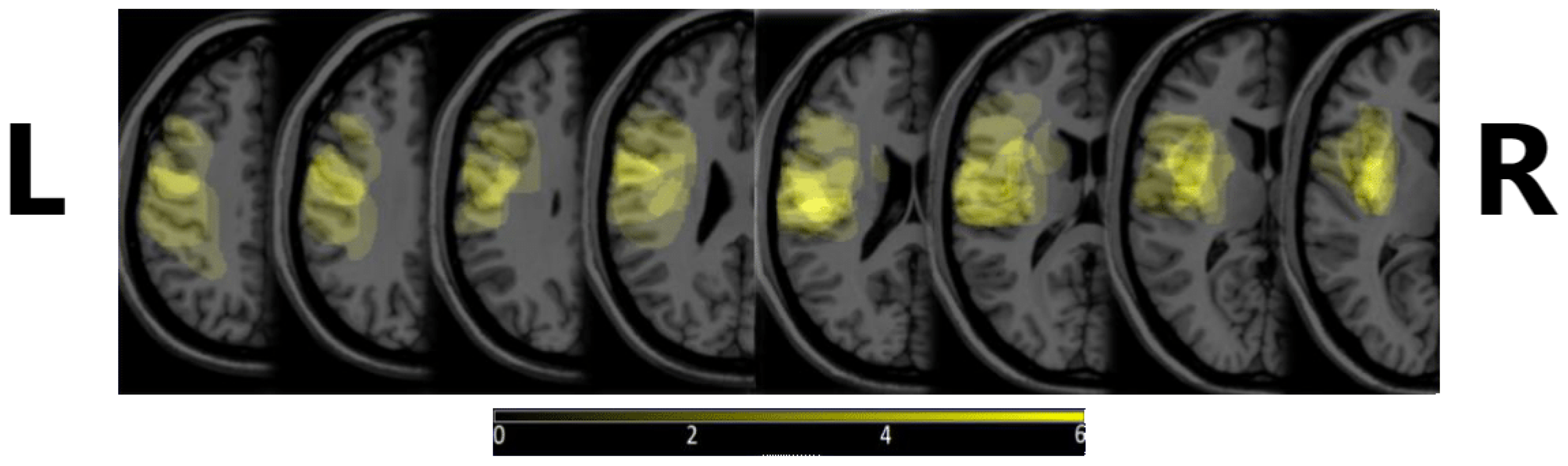 Sensors 24 00329 g001