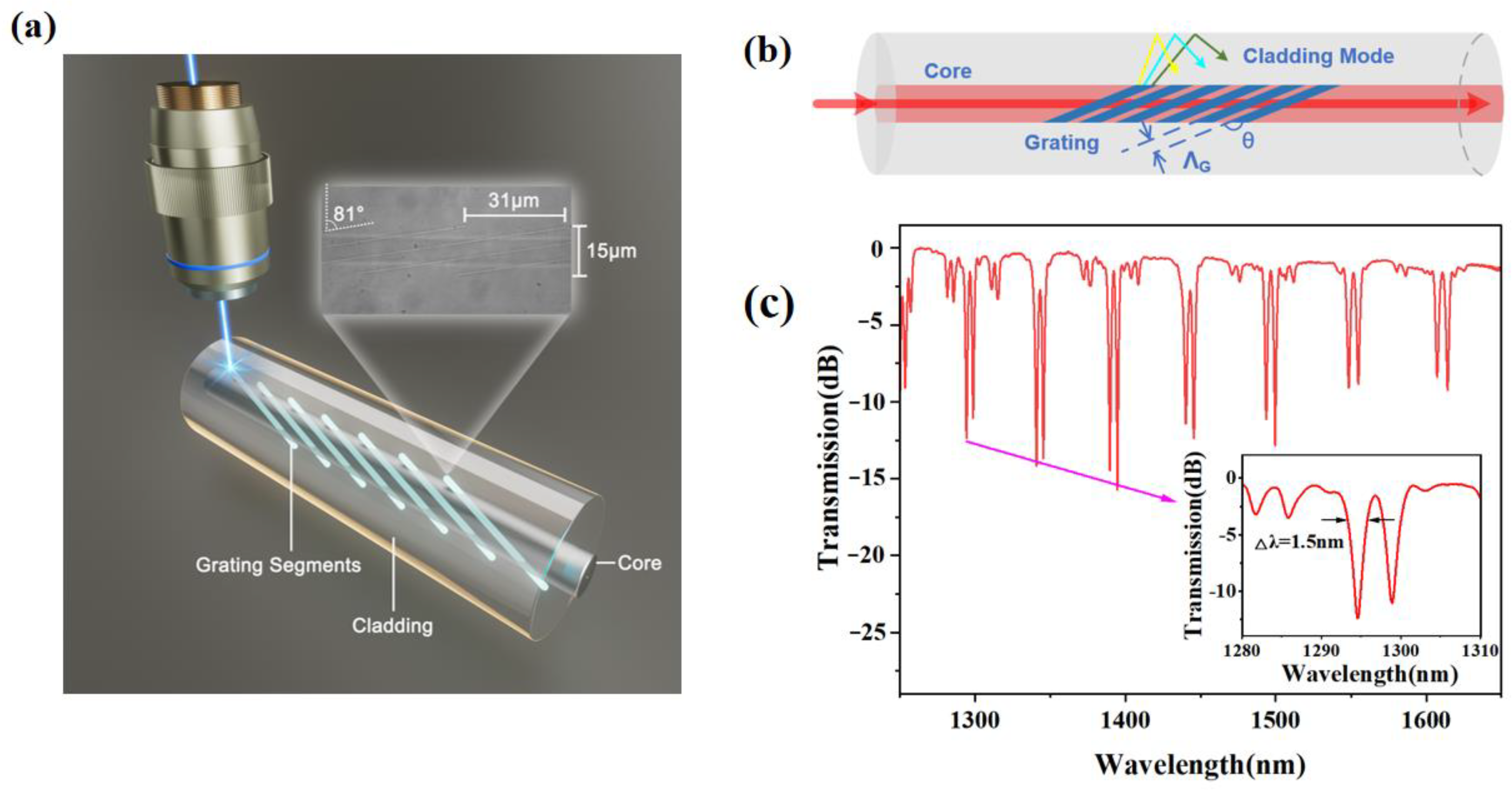 Sensors 24 00342 g001