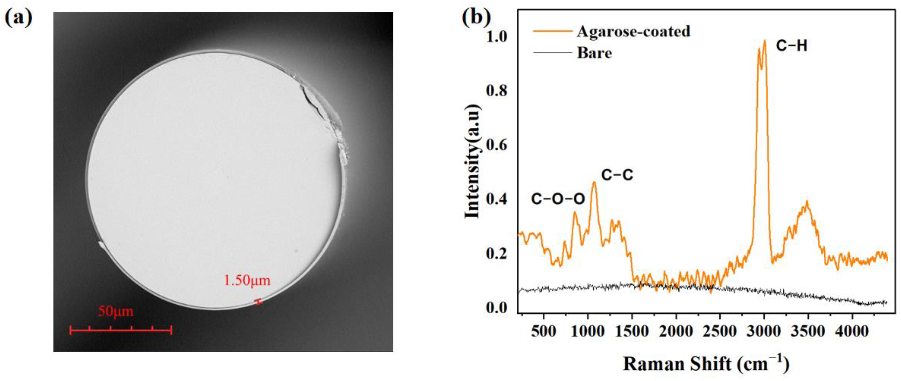 Sensors 24 00342 g003
