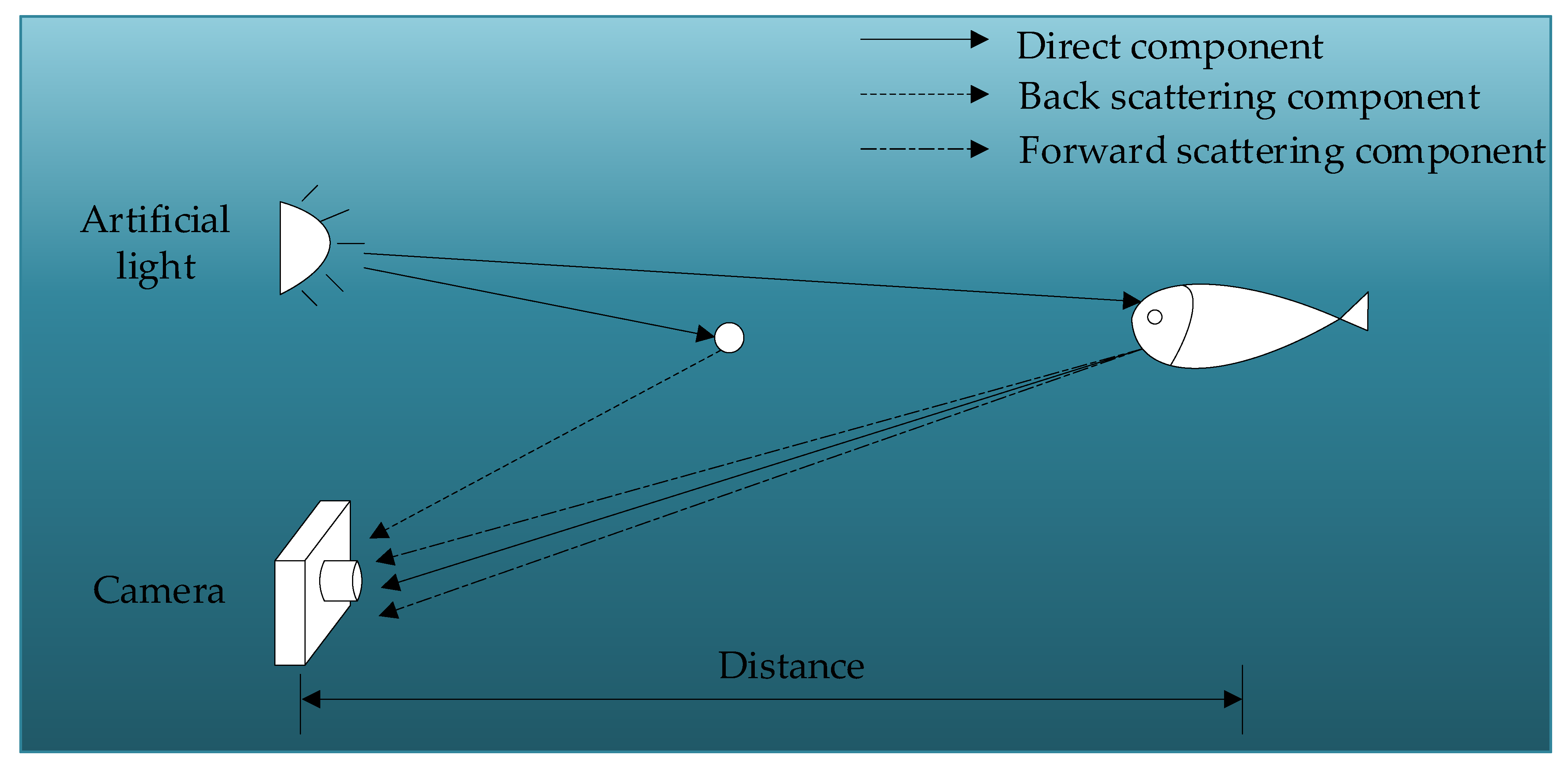 Sensors 24 00356 g001