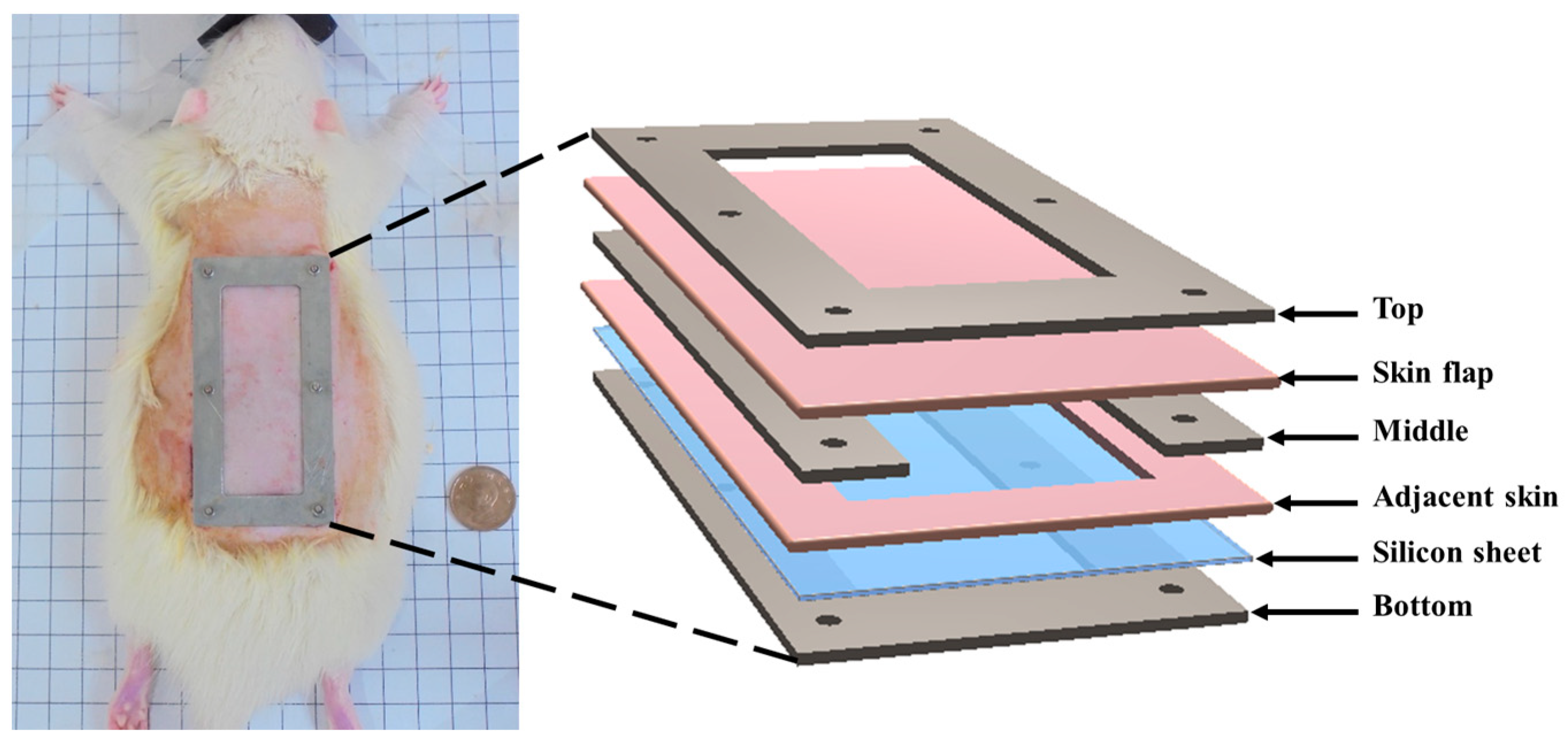 Sensors 24 00363 g001