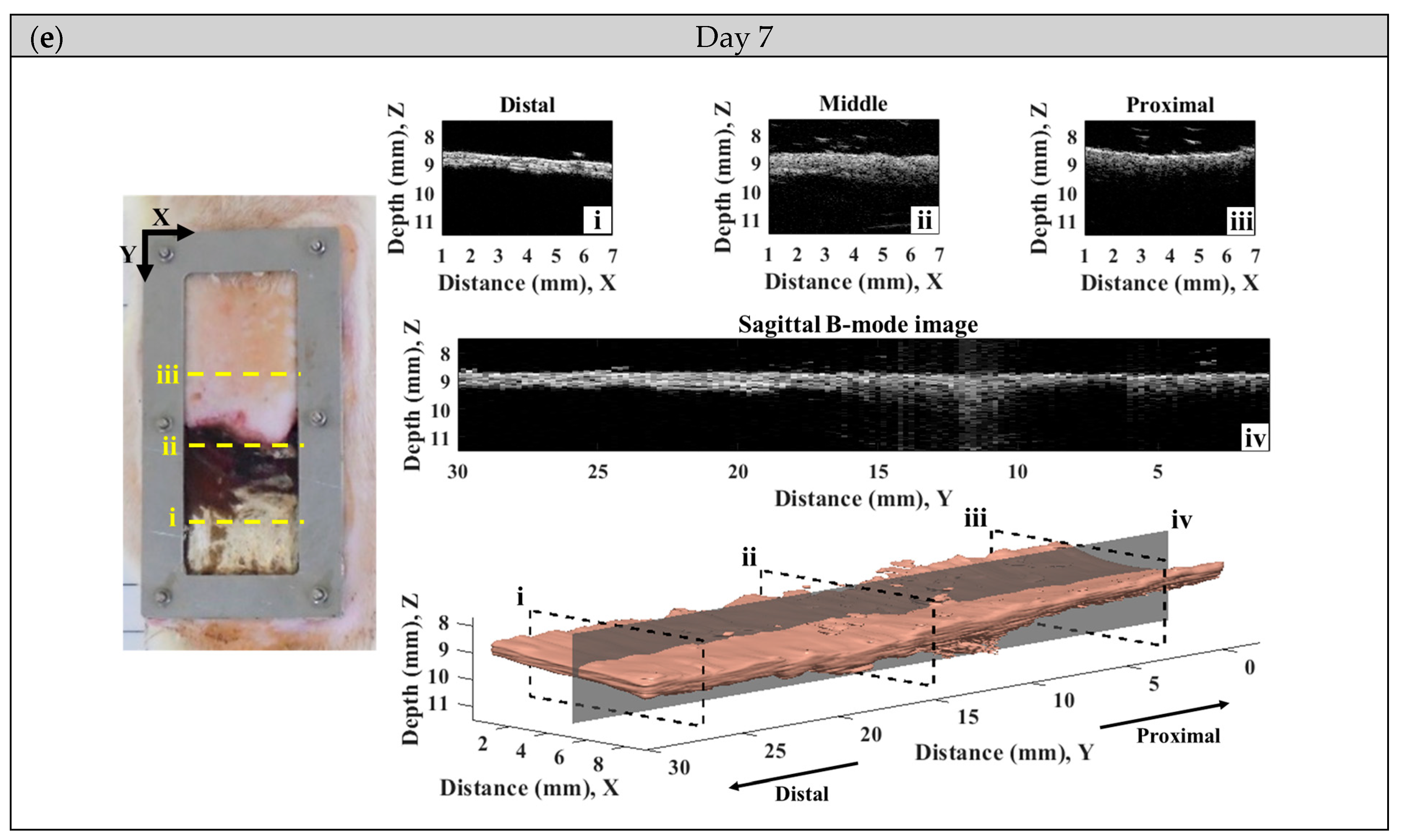 Sensors 24 00363 g006c