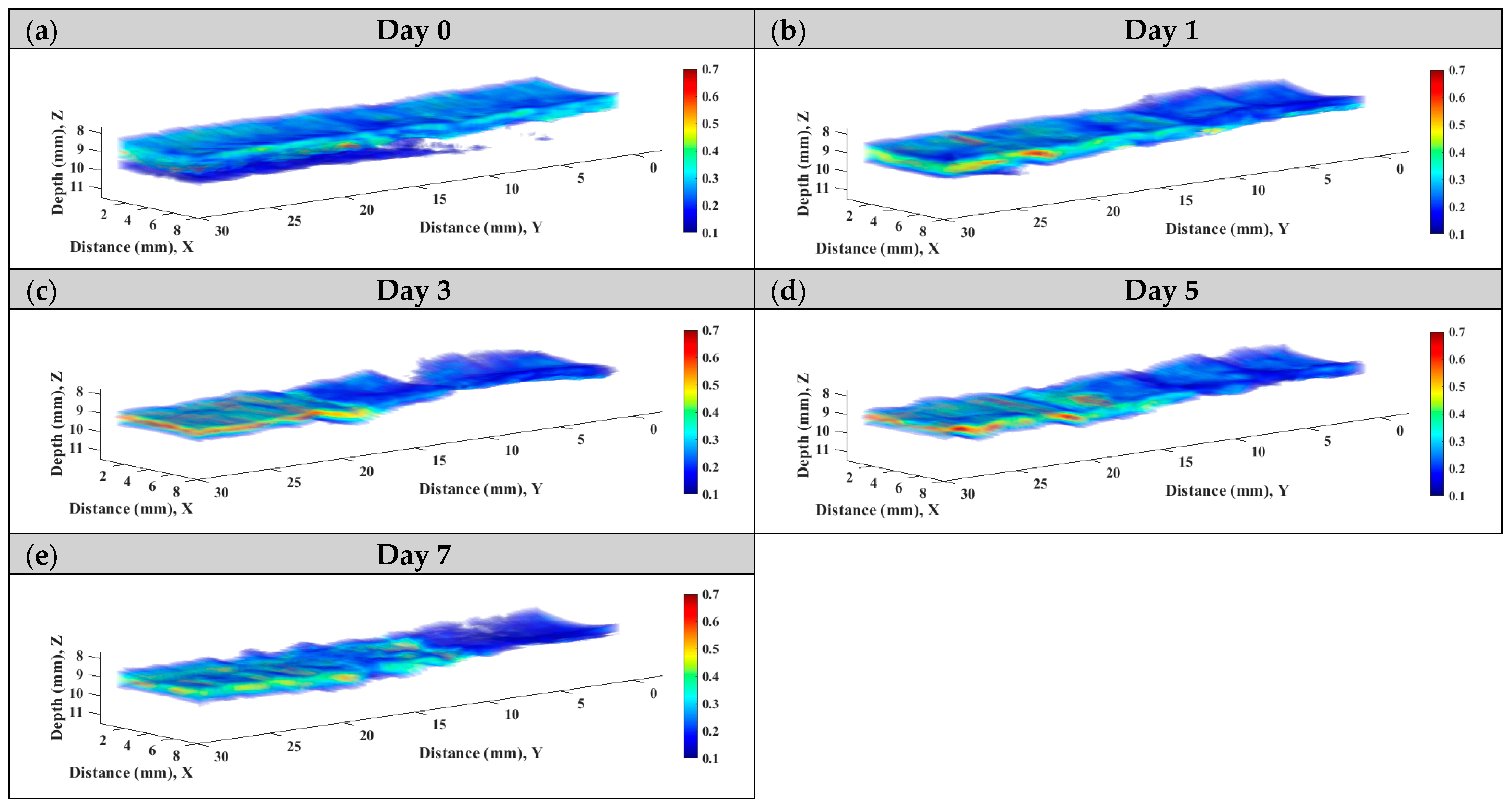 Sensors 24 00363 g011