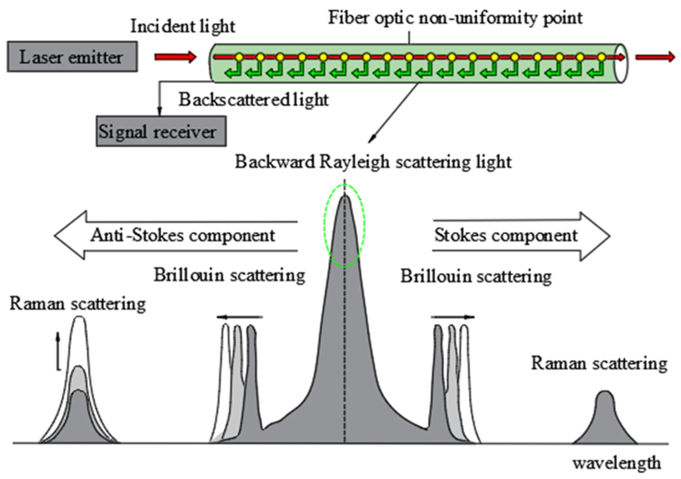 Sensors 24 00413 g005
