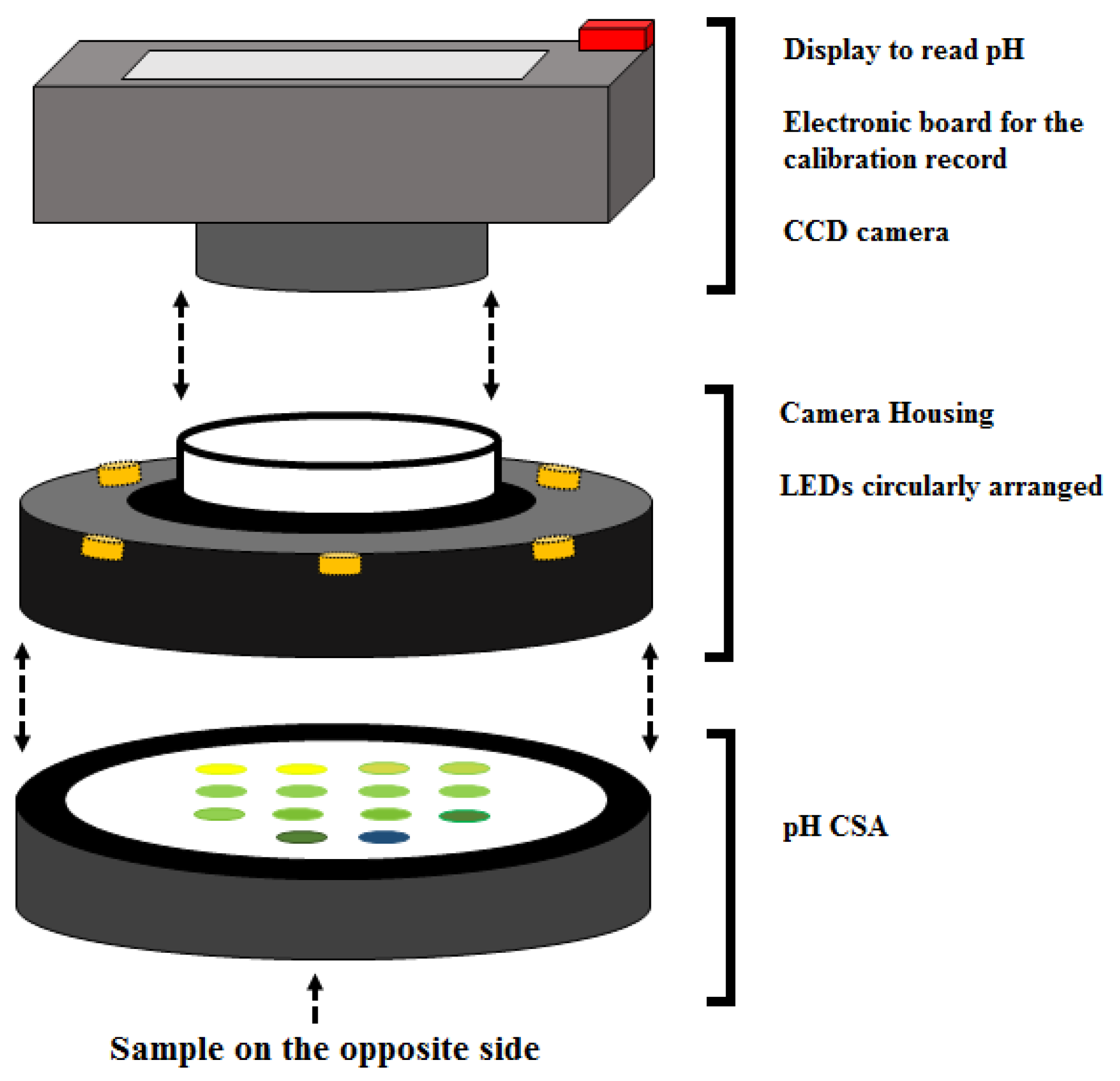 Sensors 24 00417 g001