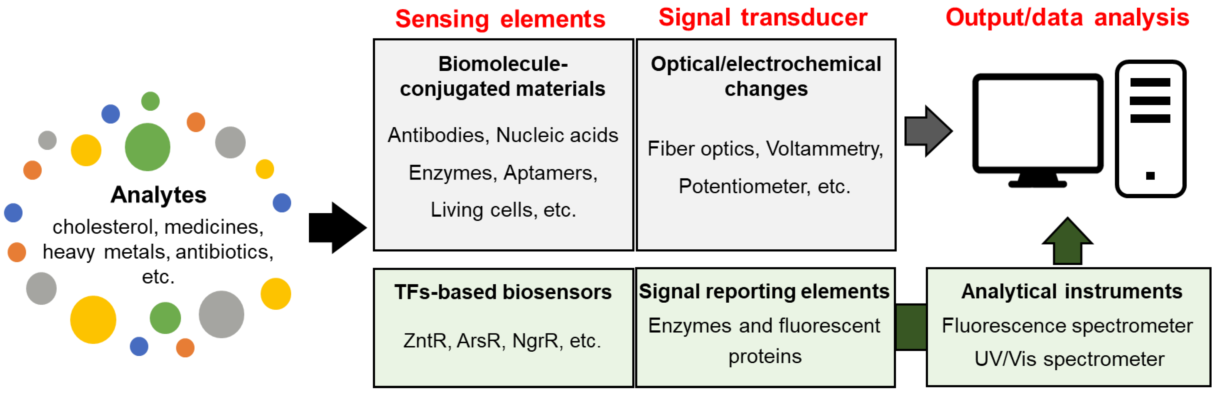 Sensors 24 00431 g002