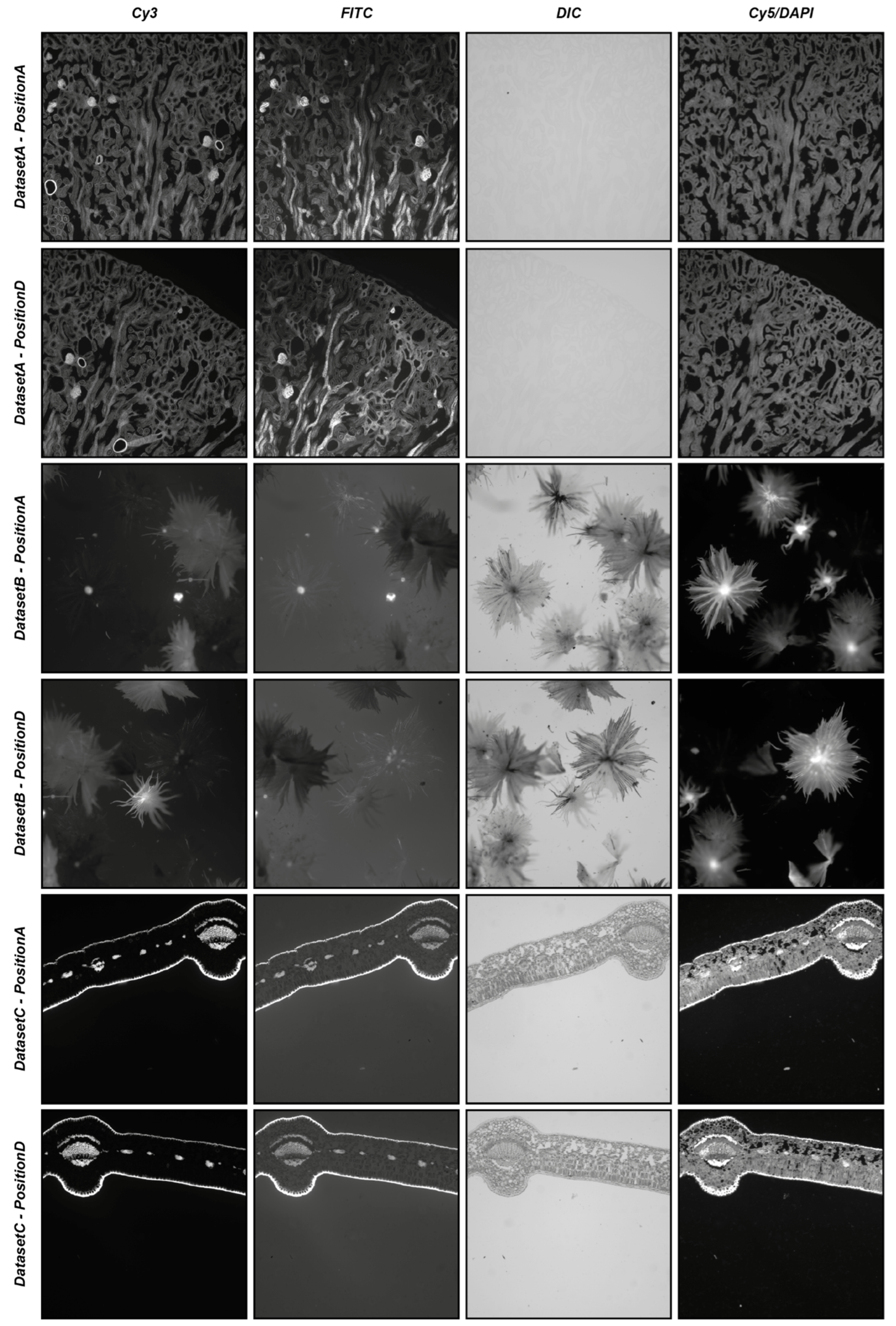 Sensors 24 00451 g005