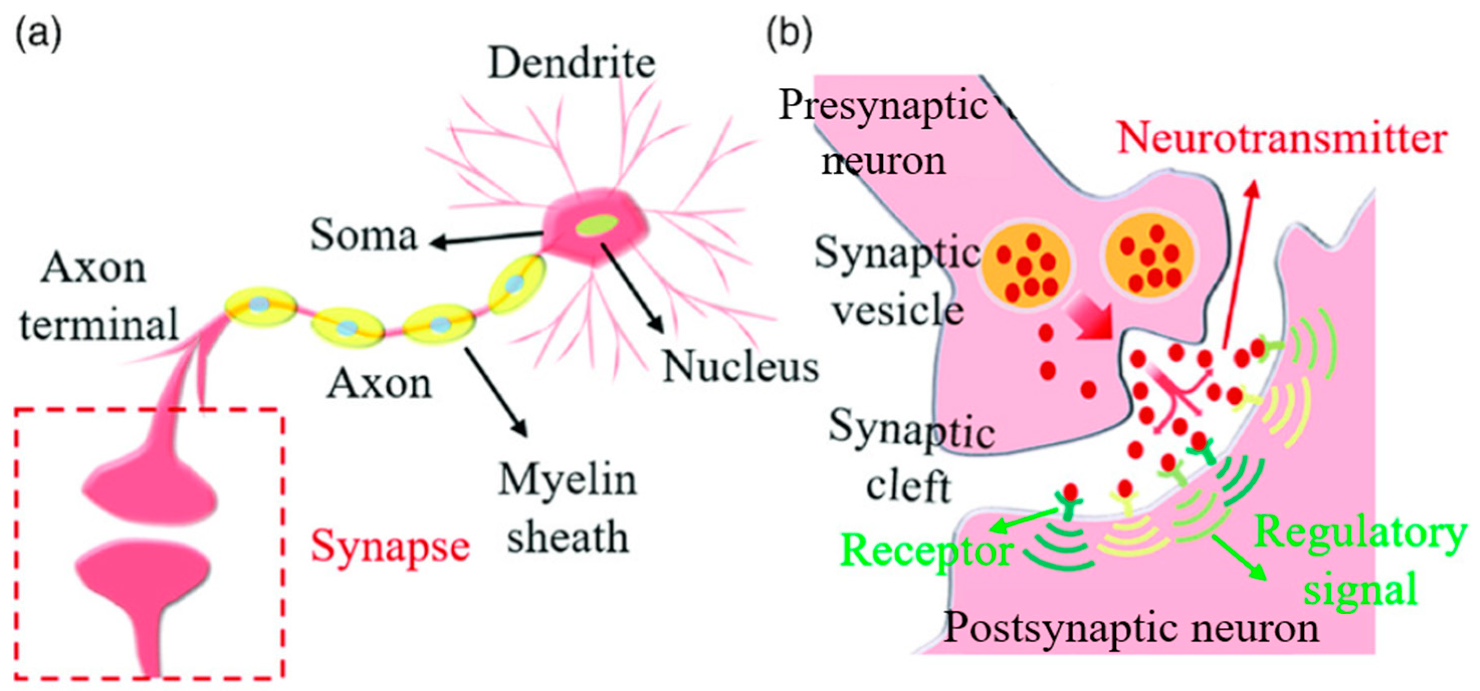 Sensors 24 00491 g001