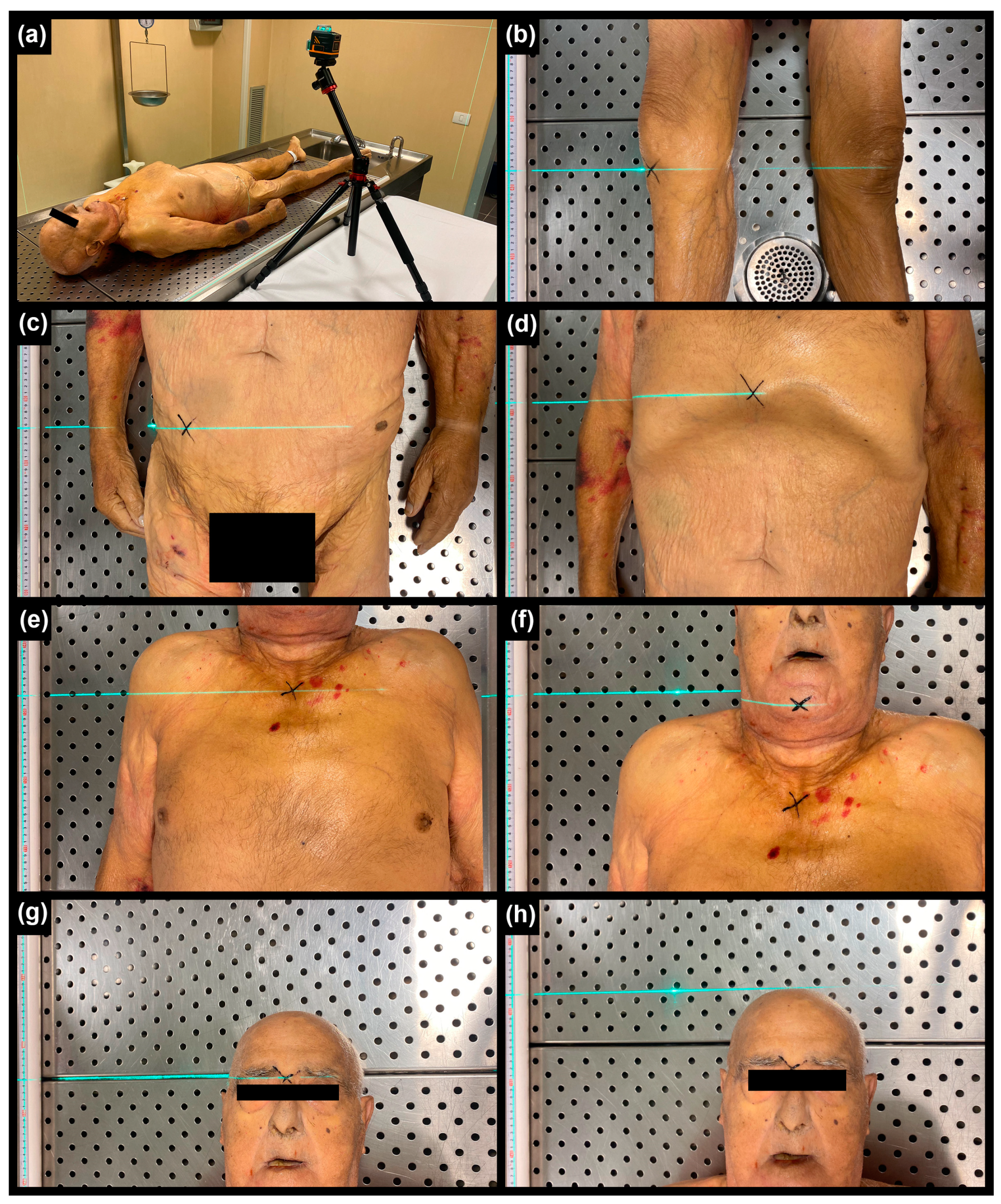 Sensors 24 00500 g001