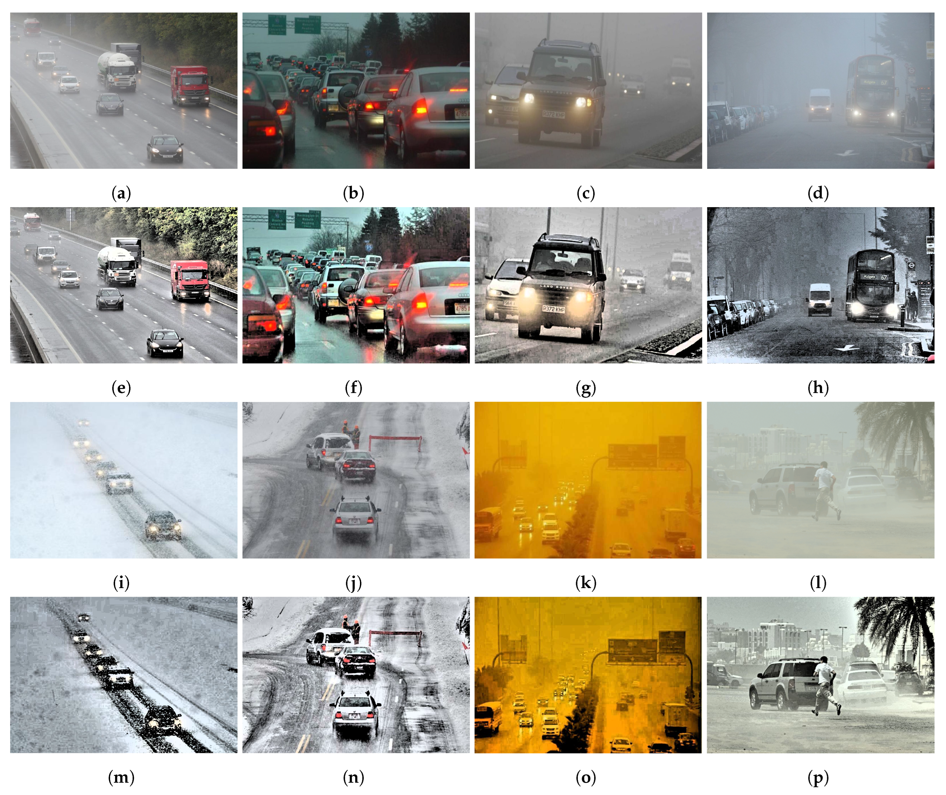 Sensors 24 00522 g009