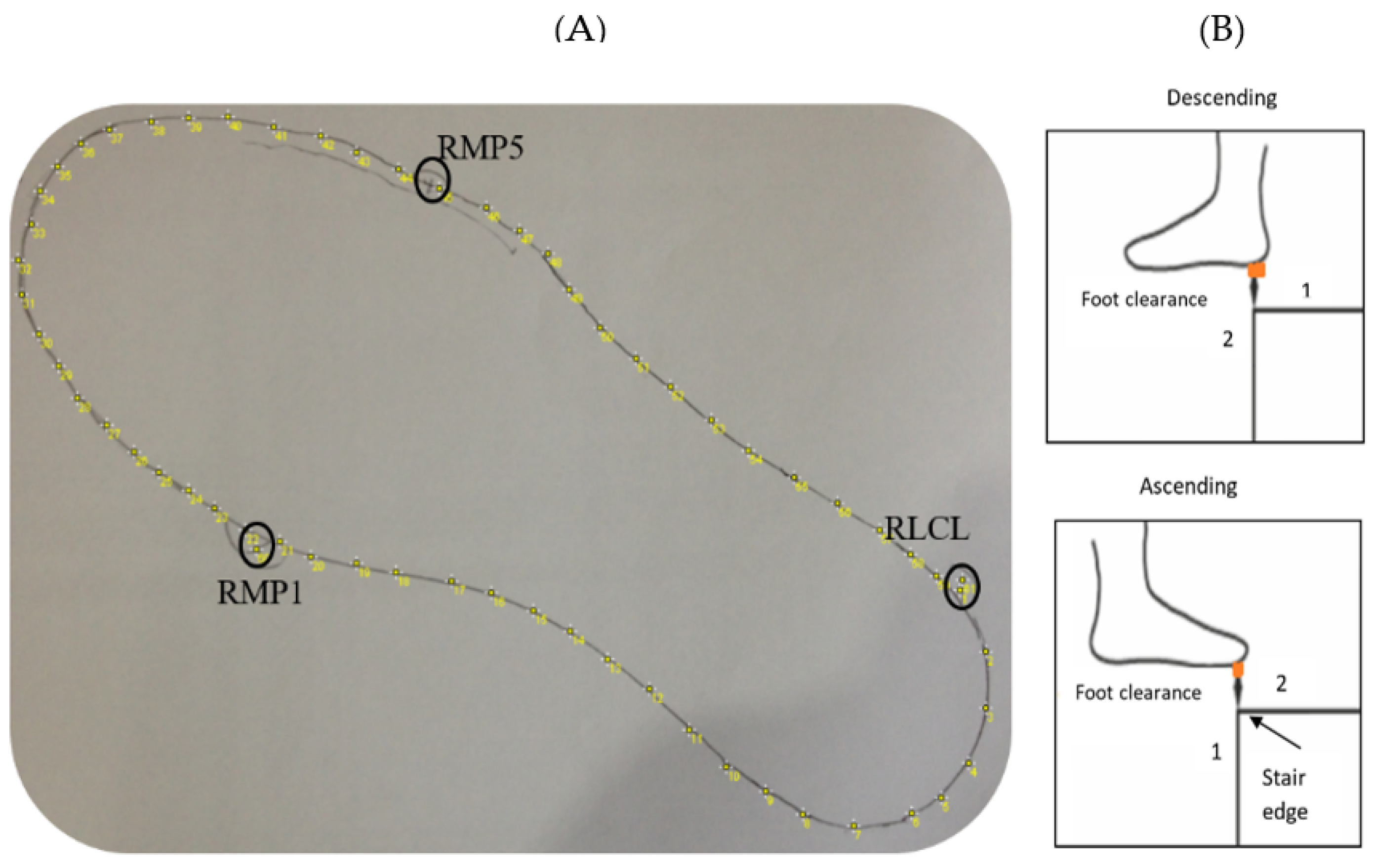 Sensors 24 00526 g005
