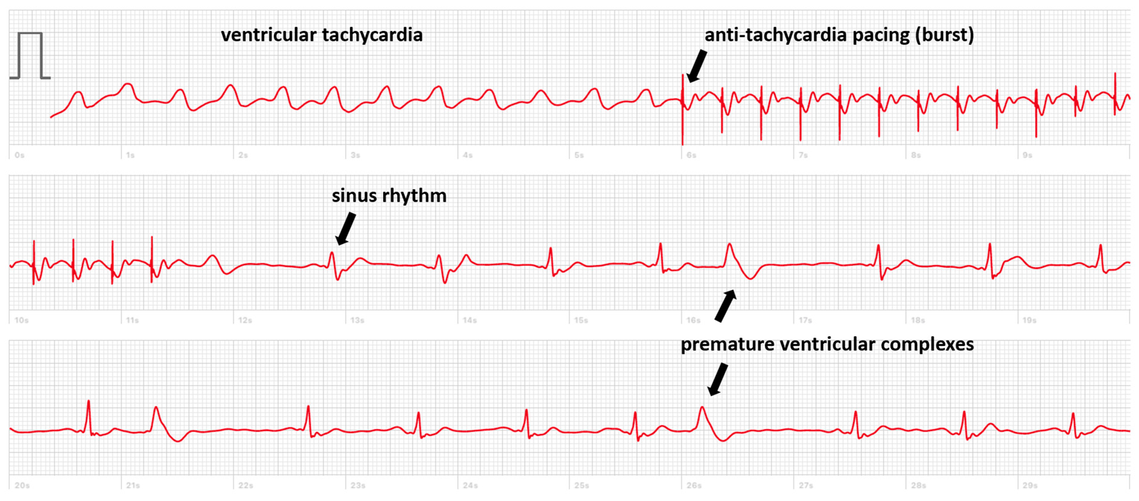 Sensors 24 00527 g001