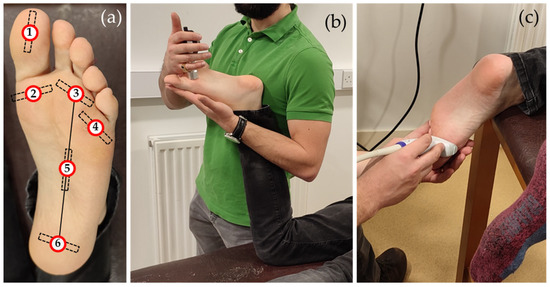 Reliability and Validity of Shore Hardness in Plantar Soft Tissue 