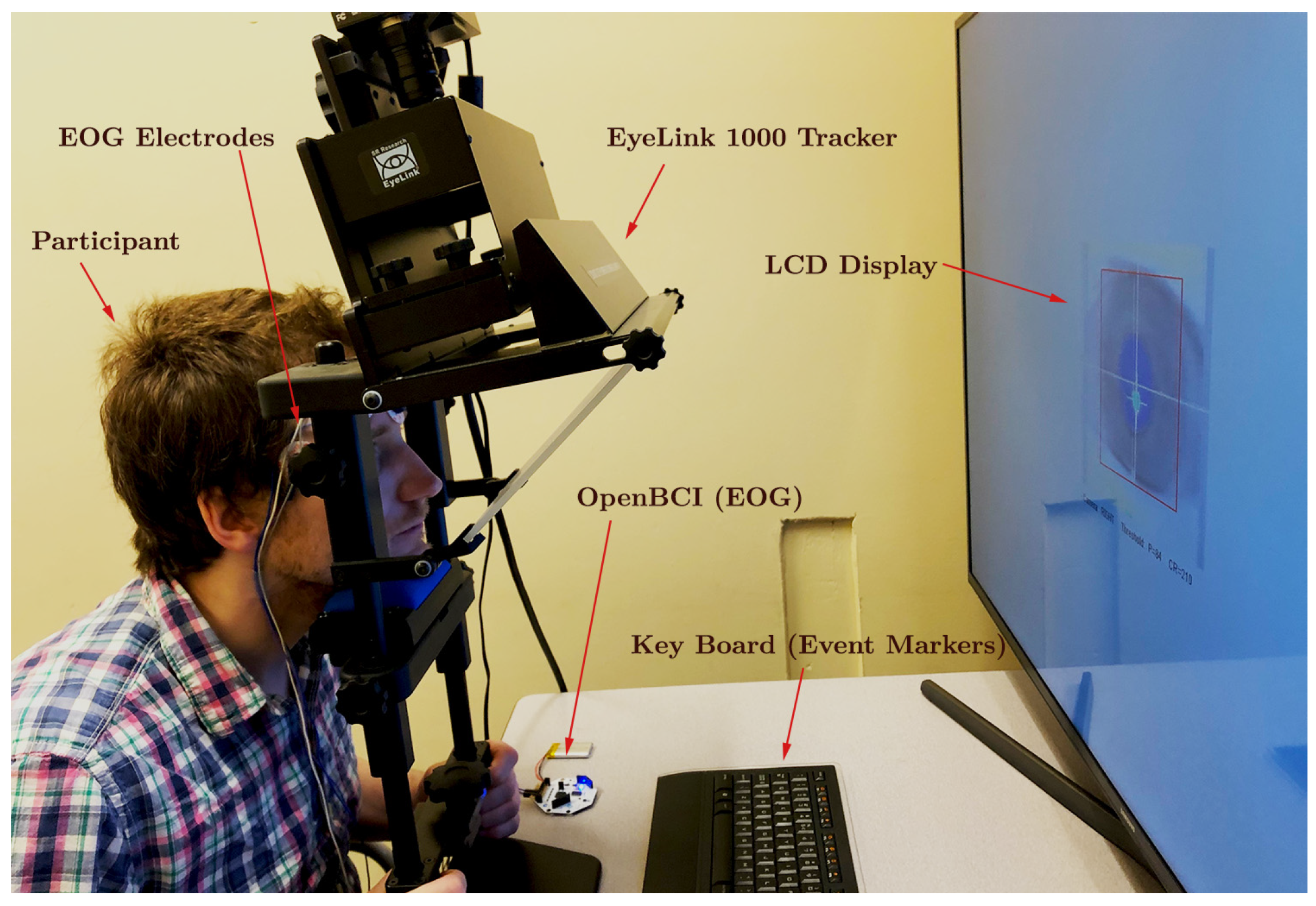 Sensors 24 00540 g003