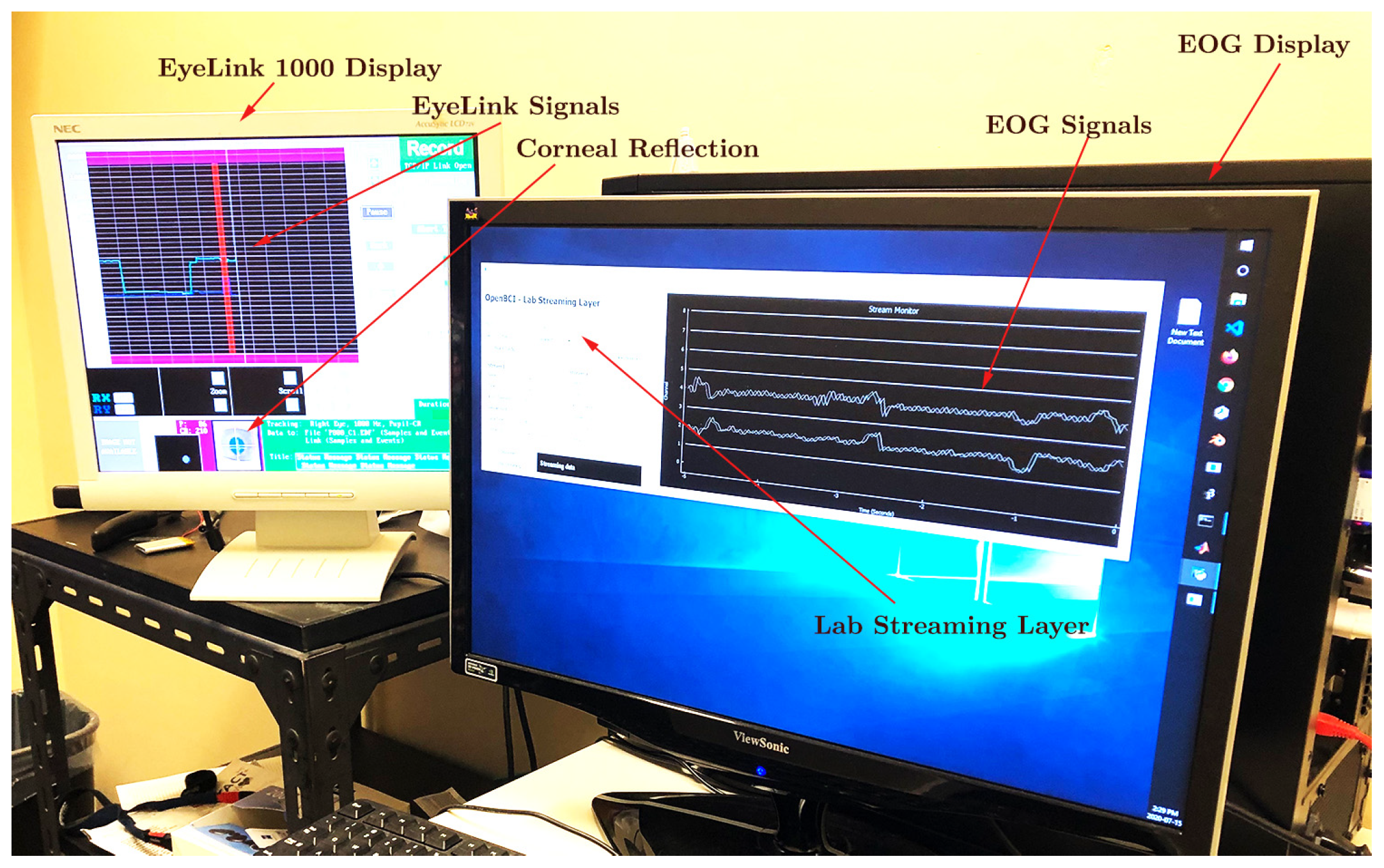 Sensors 24 00540 g004