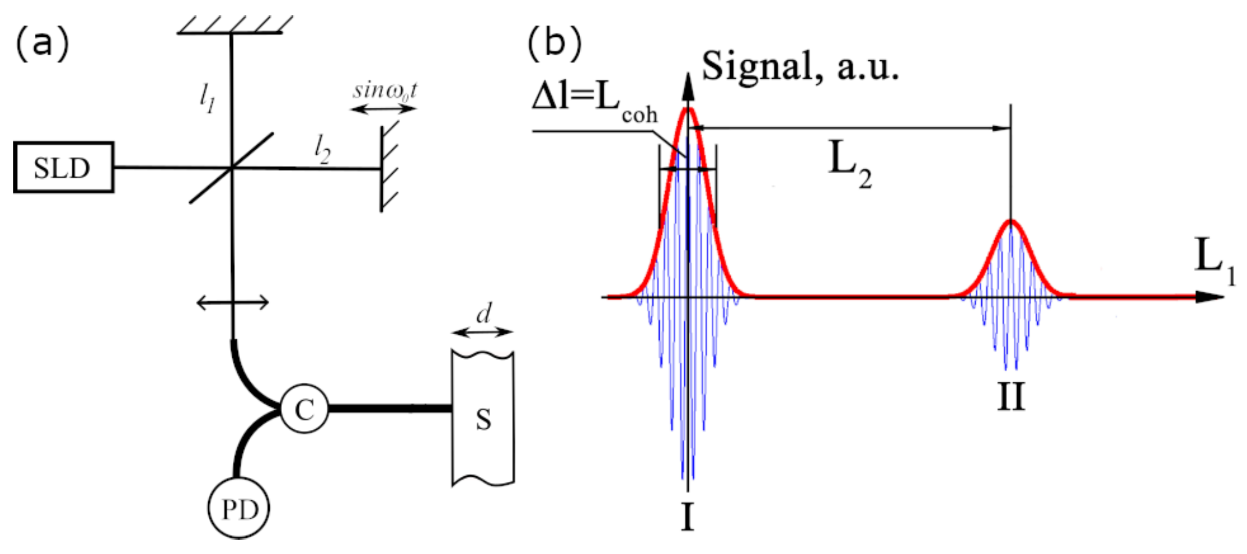 Sensors 24 00552 g001 Sensors 24 00552 g001