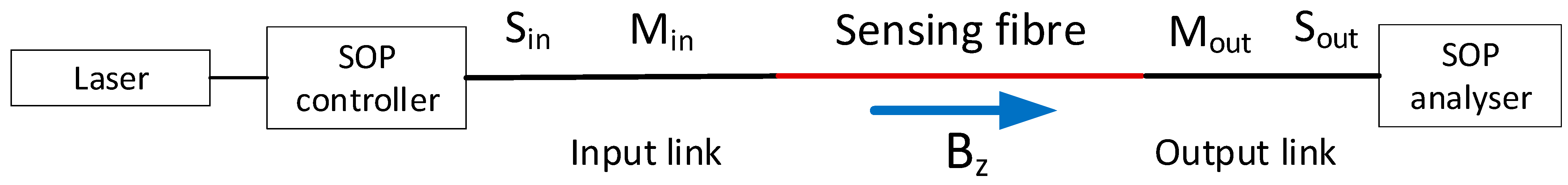 Sensors 24 00555 g001