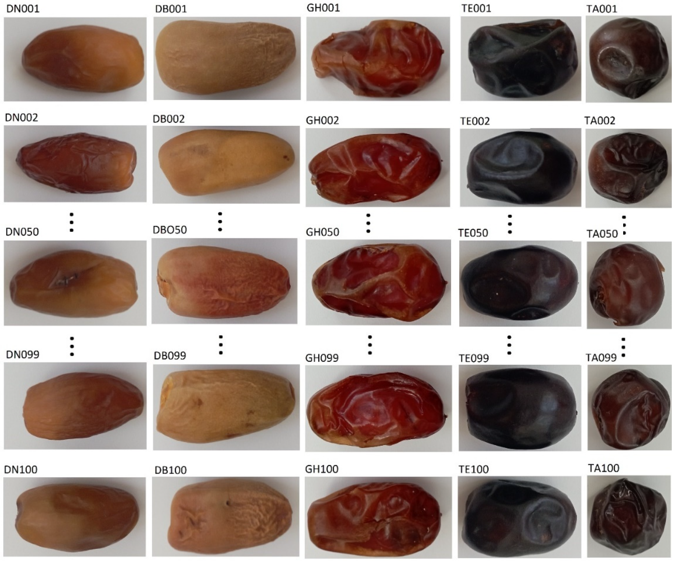 Sensors 24 00558 g002