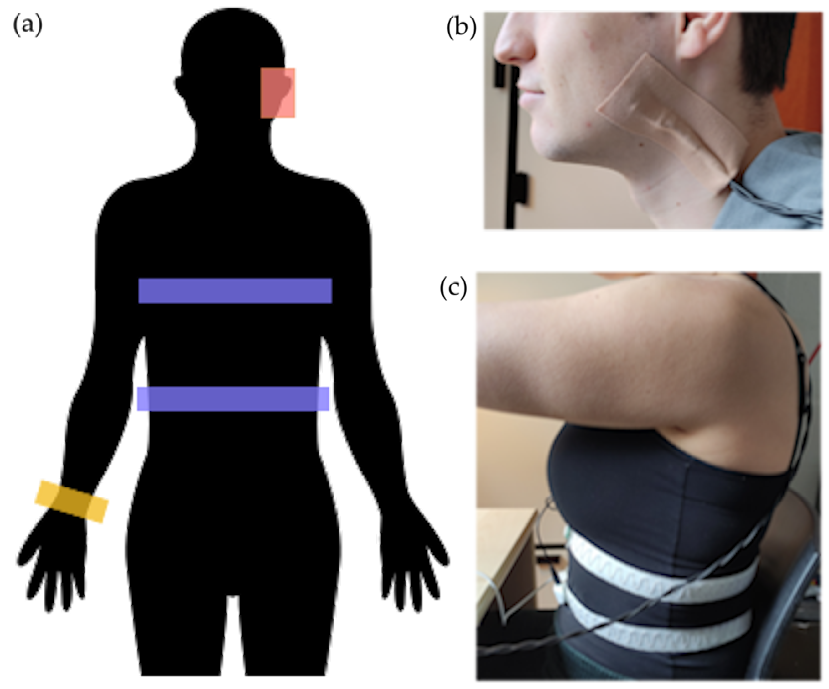 Sensors 24 00571 g002