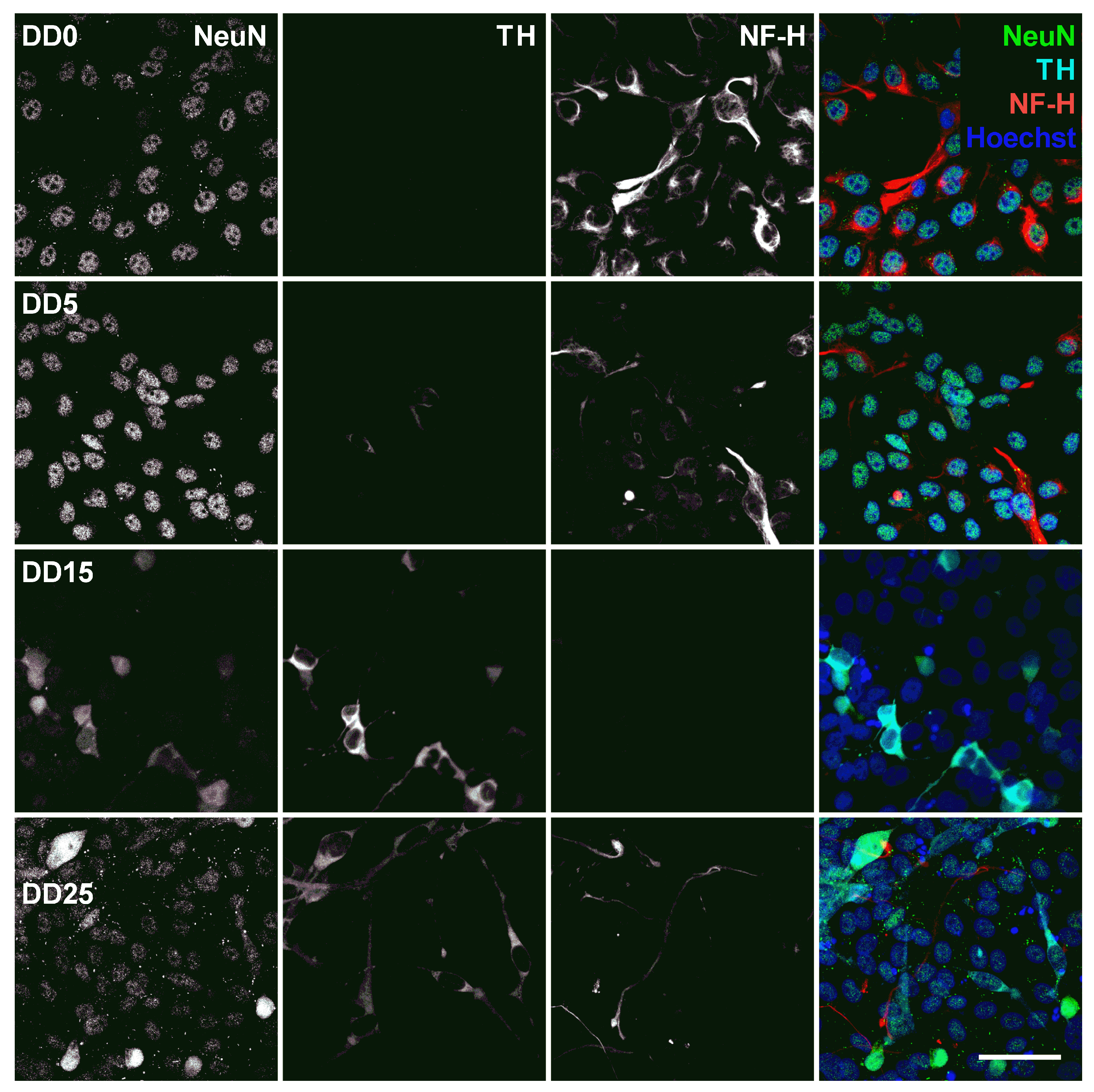 Sensors 24 00575 g009