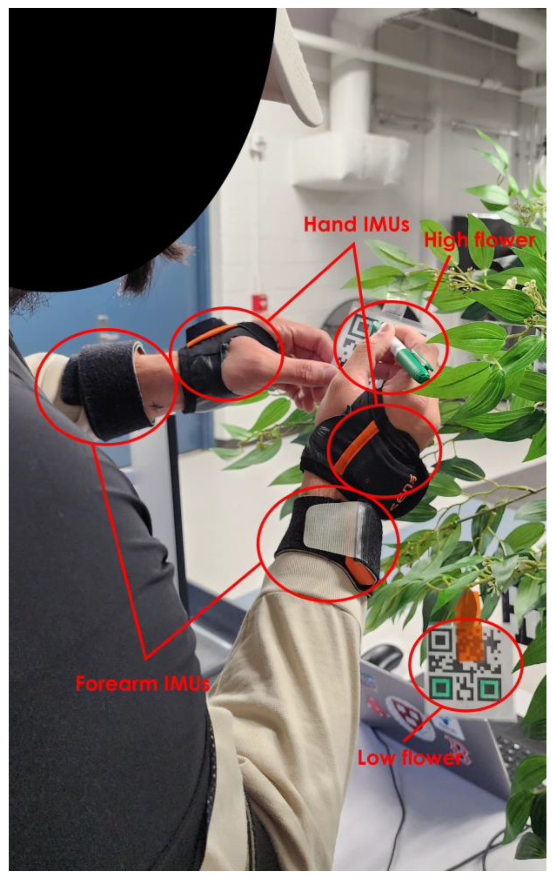 Sensors 24 00577 g002