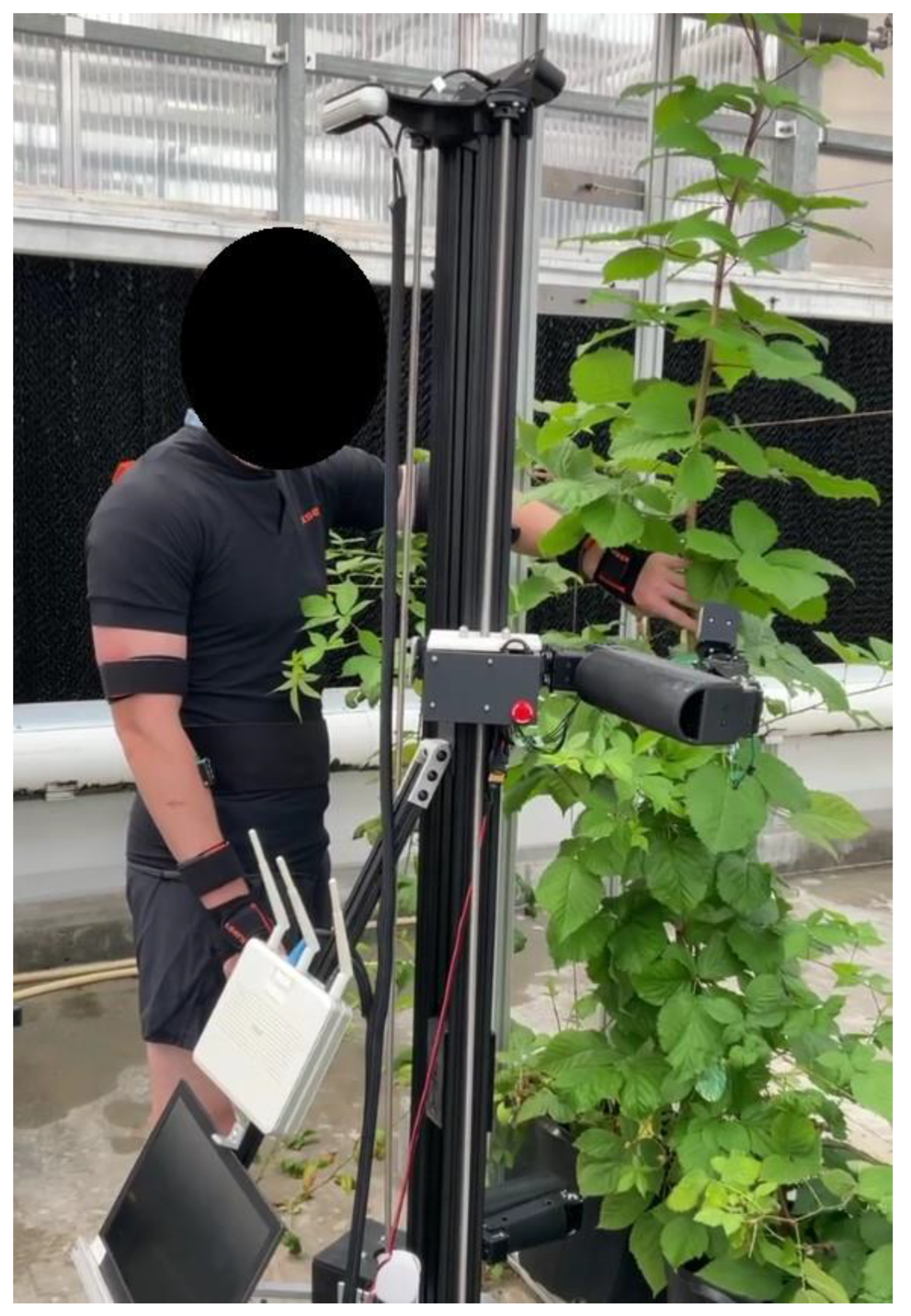 Sensors 24 00577 g006