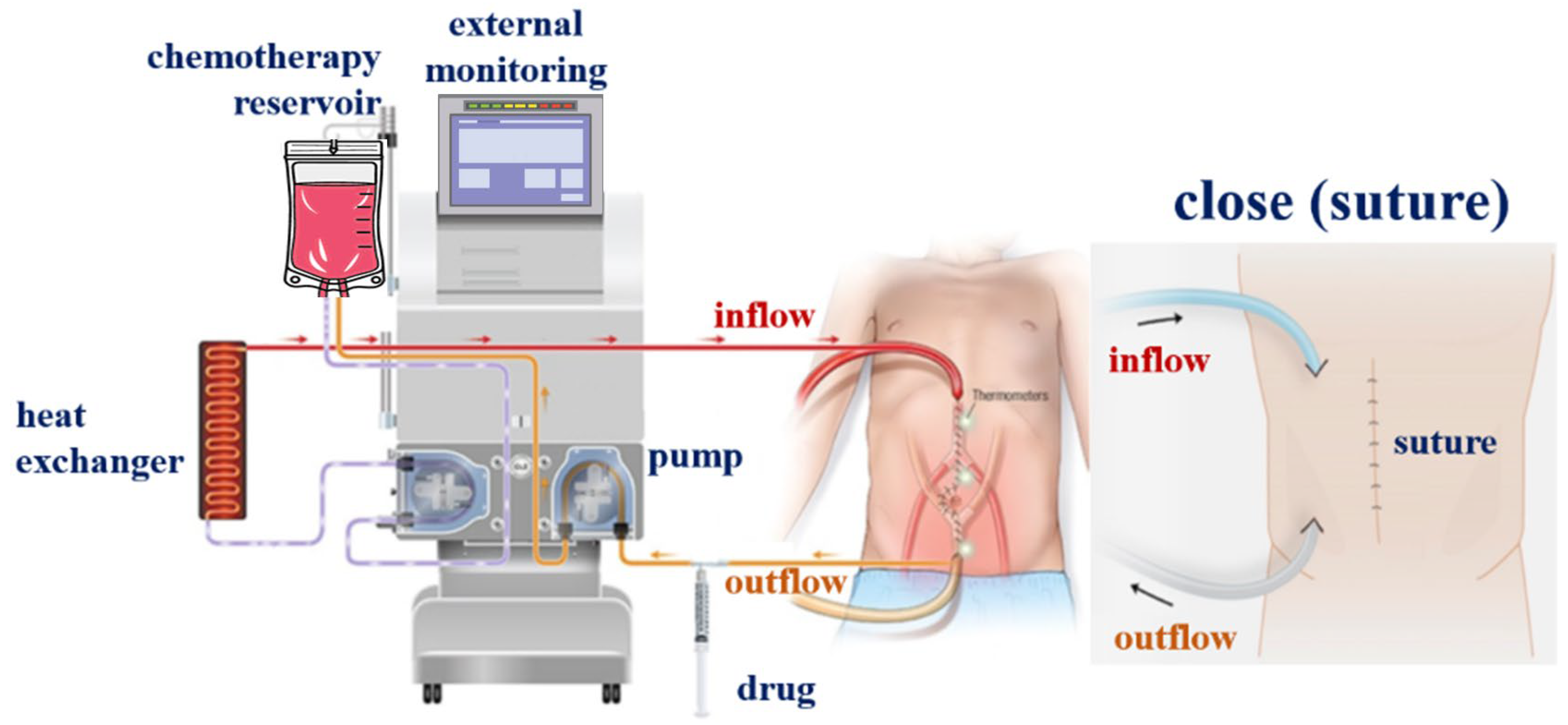 Sensors 24 00596 g002