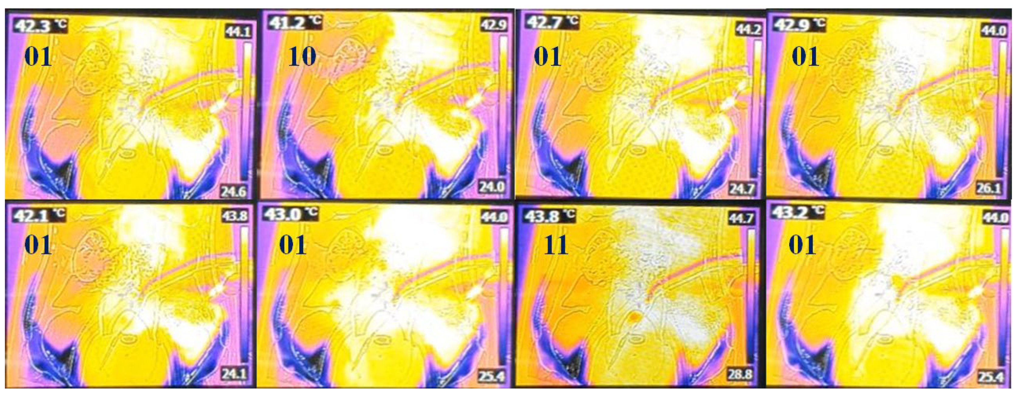 Sensors 24 00596 g008