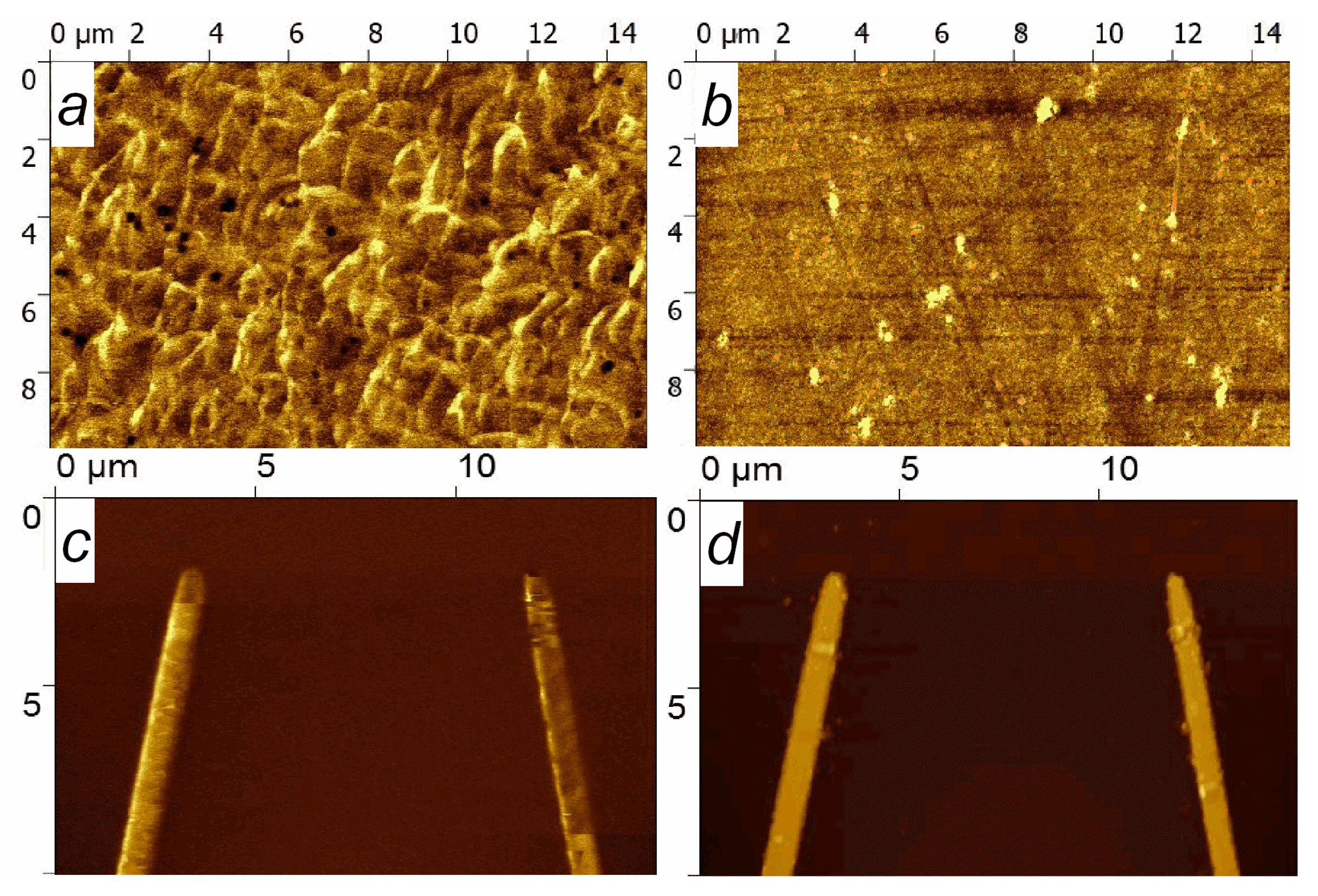 Sensors 24 00625 g008