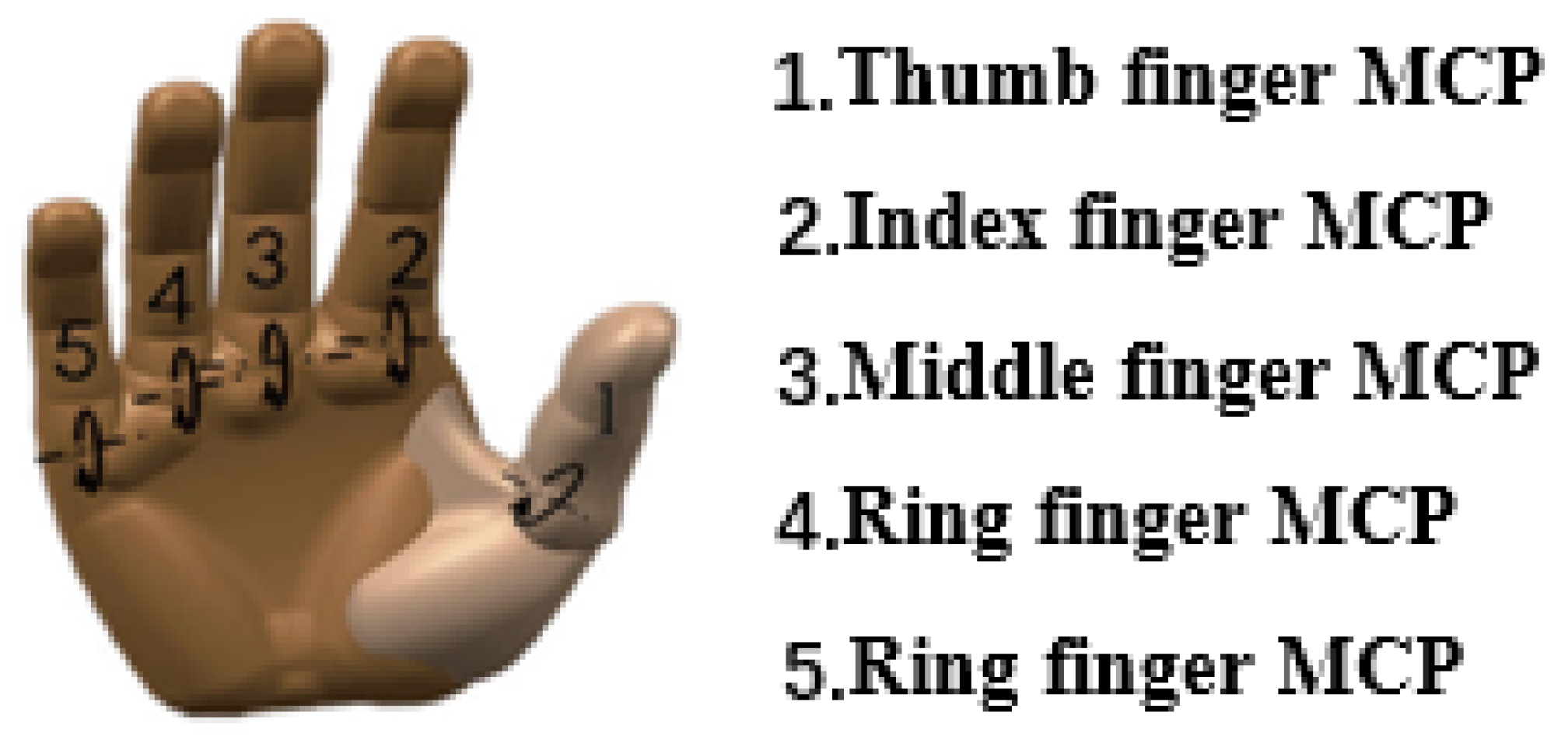 Sensors 24 00660 g004