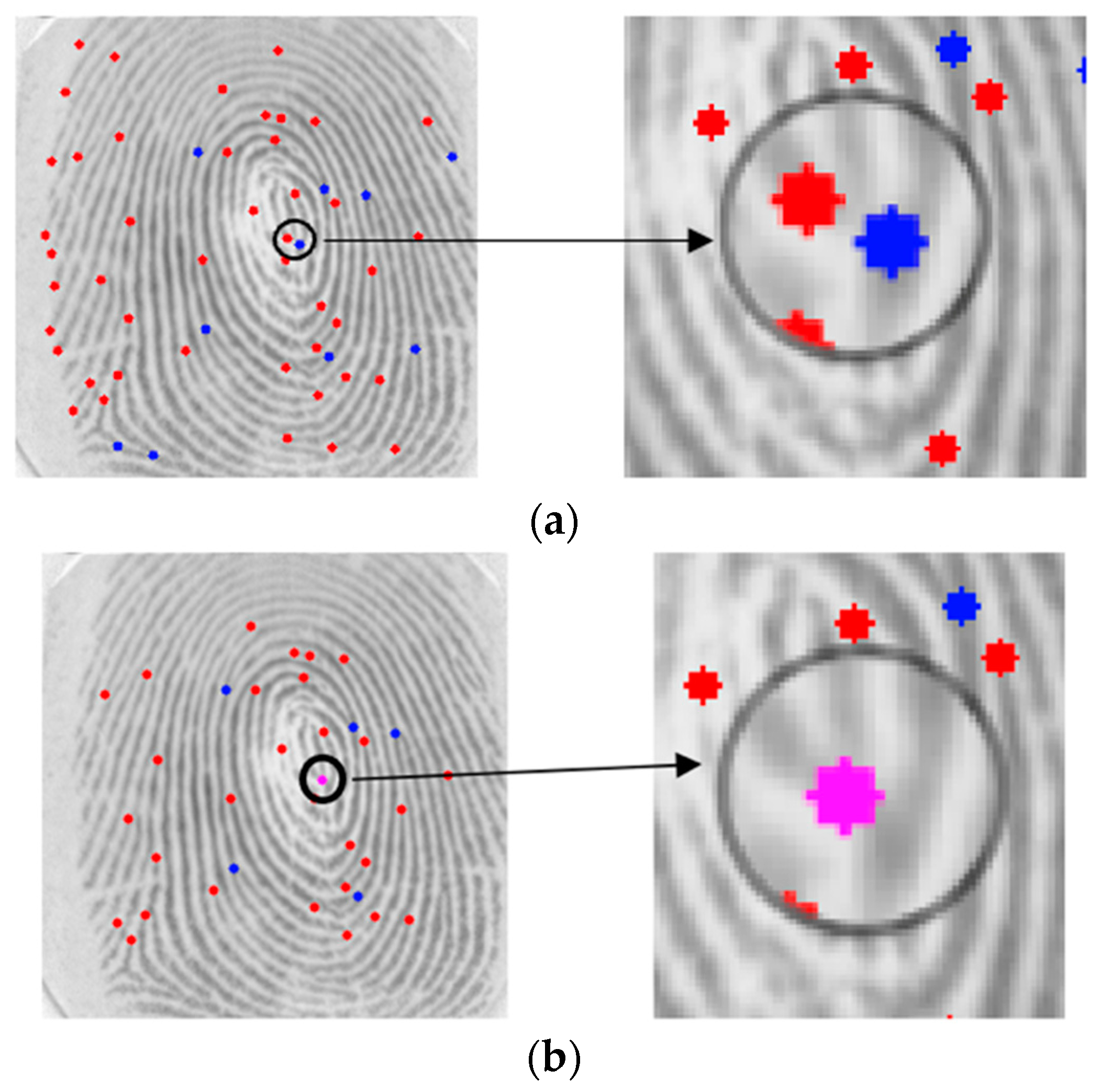 Sensors 24 00664 g012
