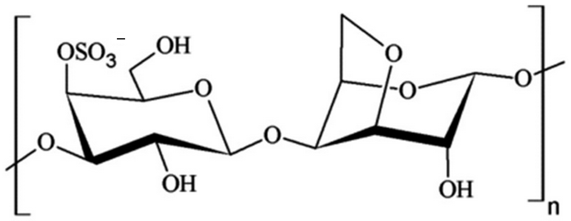 Sensors 24 00683 g001