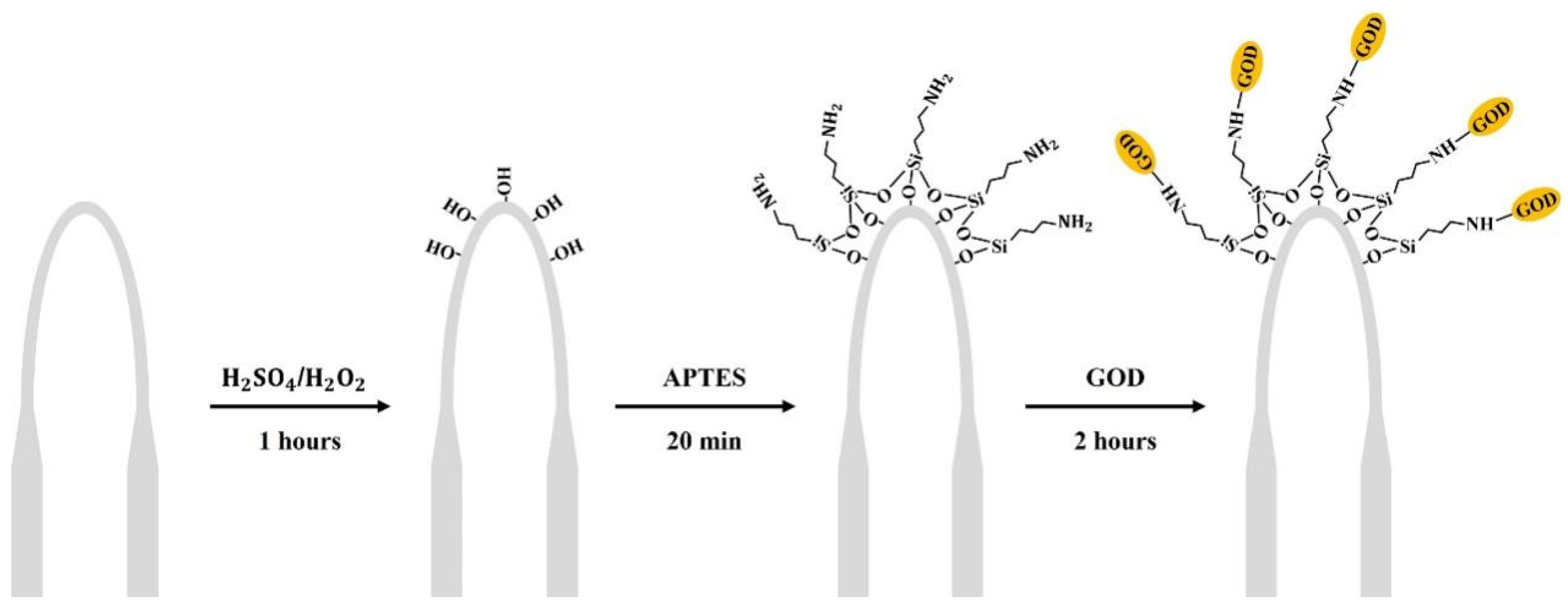 Sensors 24 00684 g001