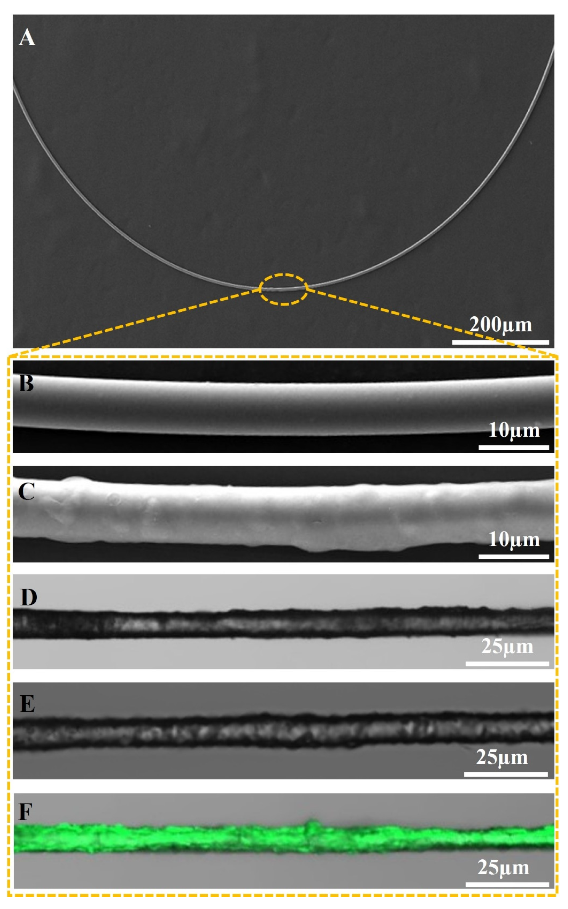 Sensors 24 00684 g003