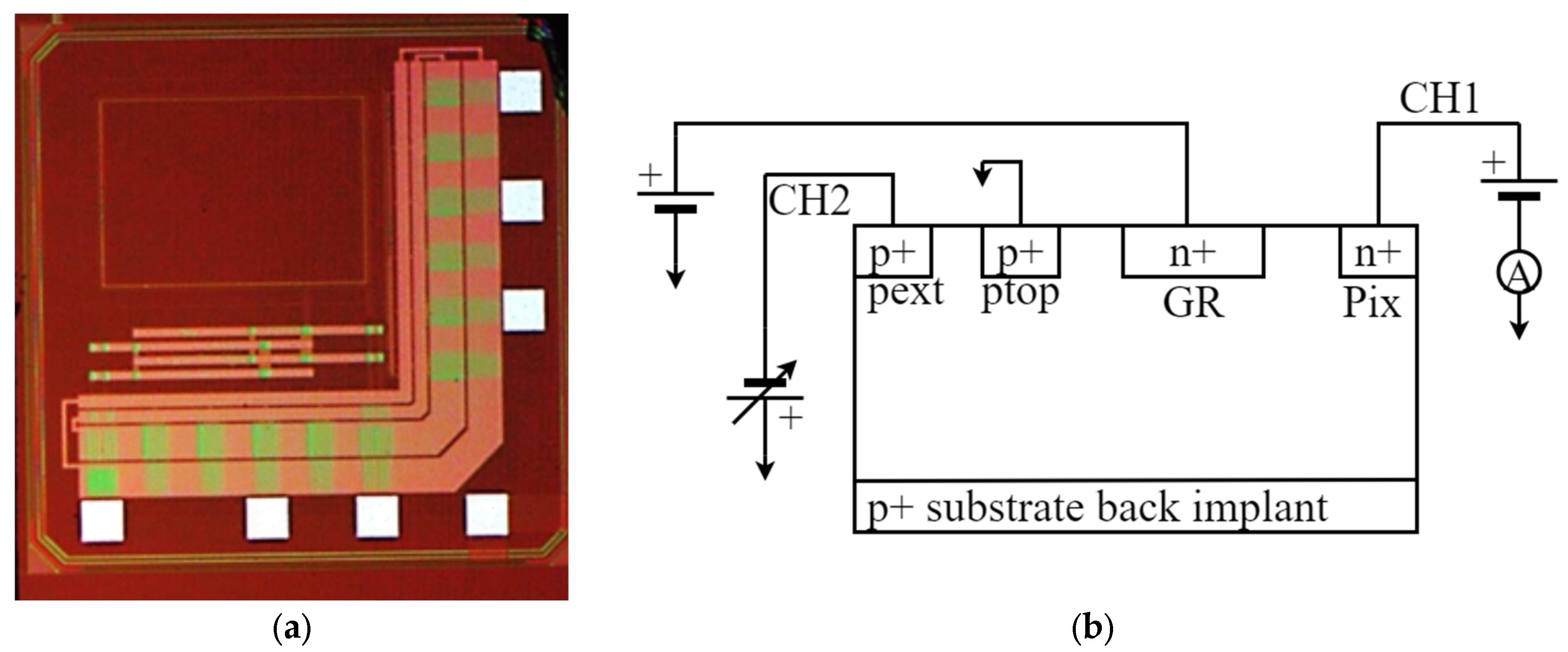 Sensors 24 00692 g001