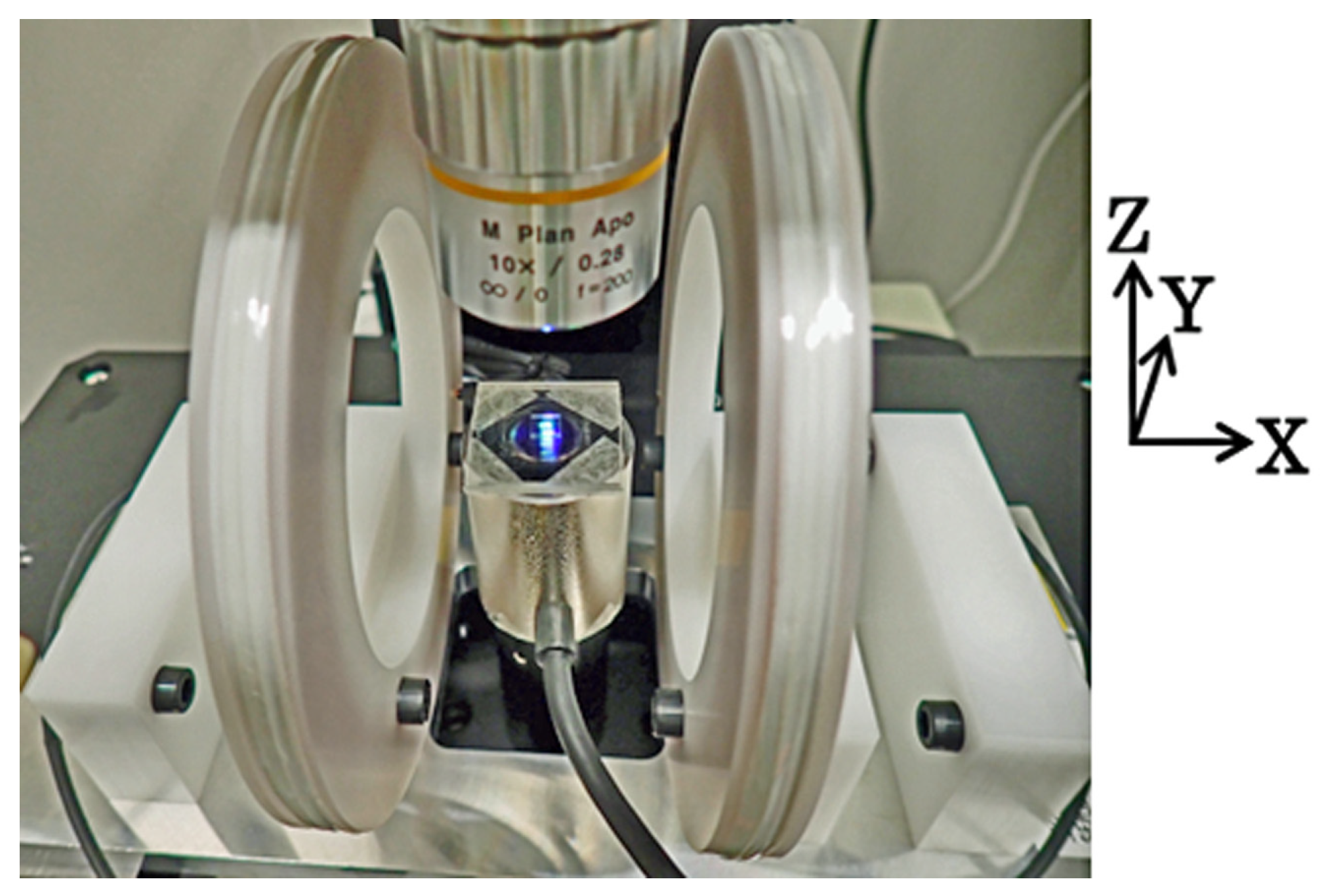 Sensors 24 00706 g006