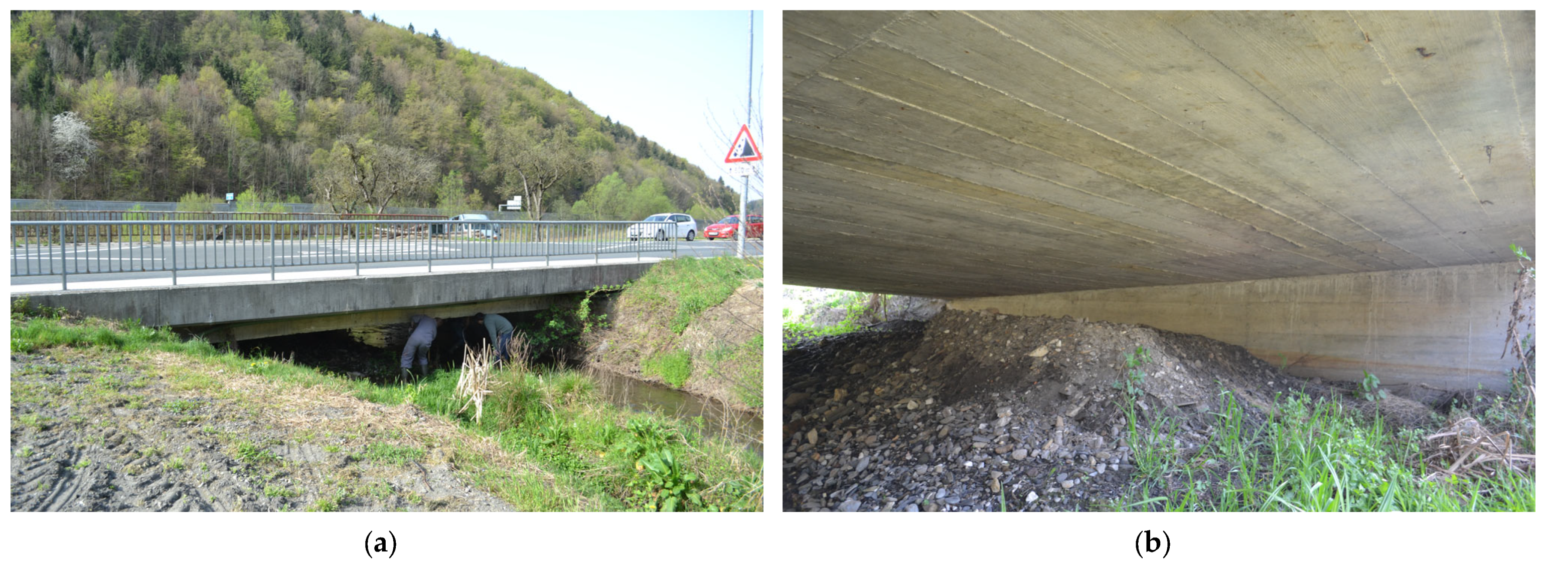 Sensors 24 00709 g005