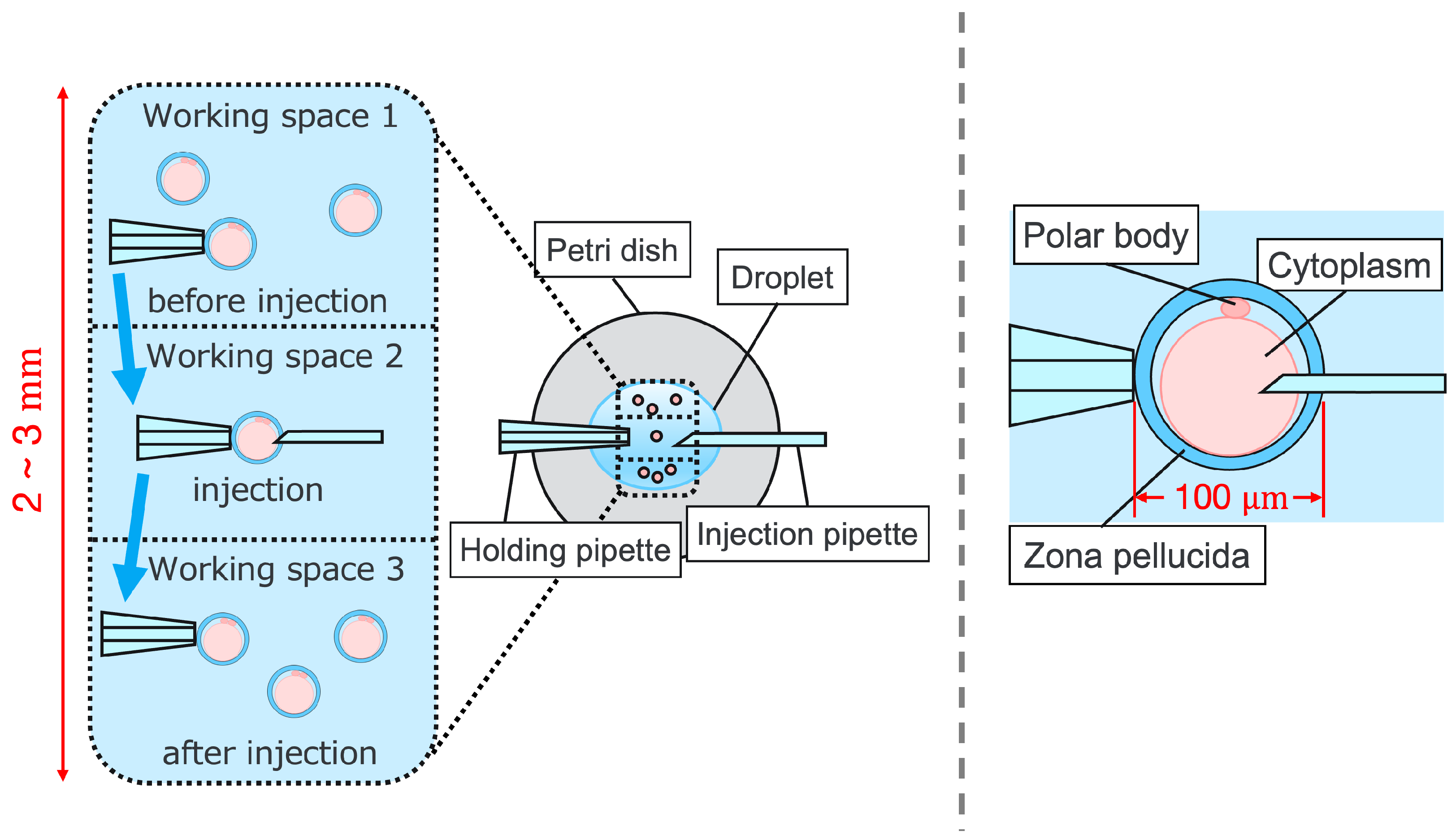 Sensors 24 00711 g001