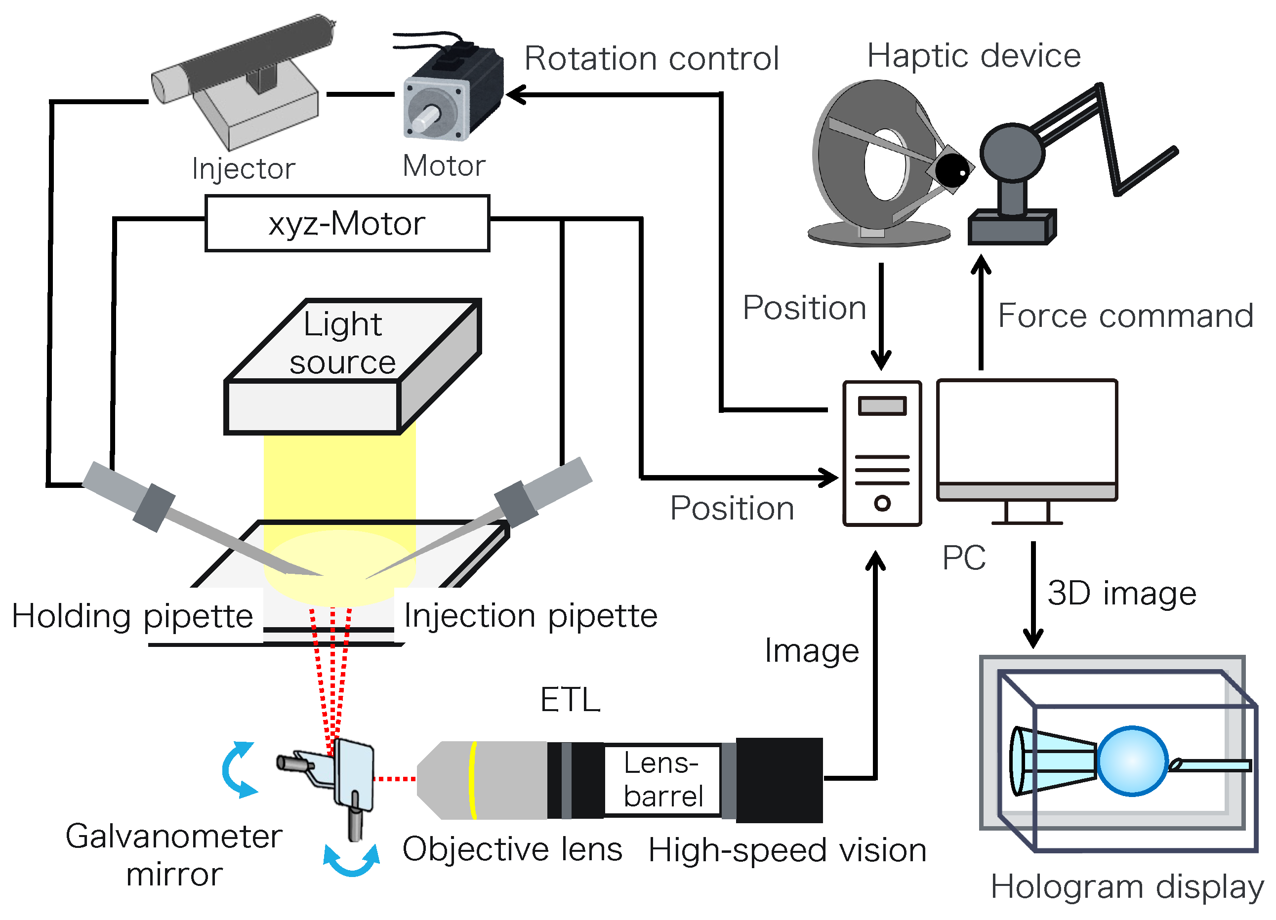 Sensors 24 00711 g002