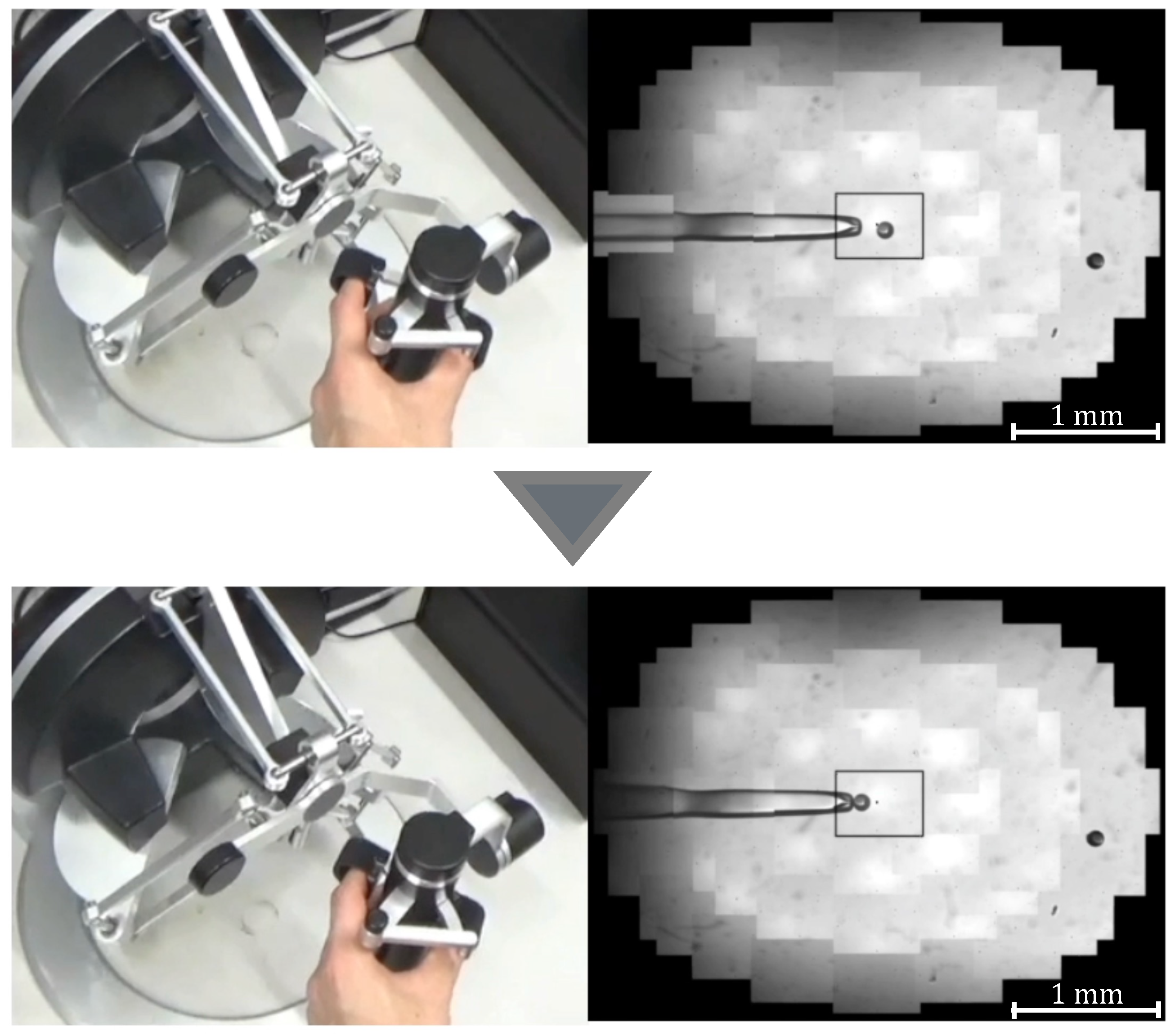 Sensors 24 00711 g005