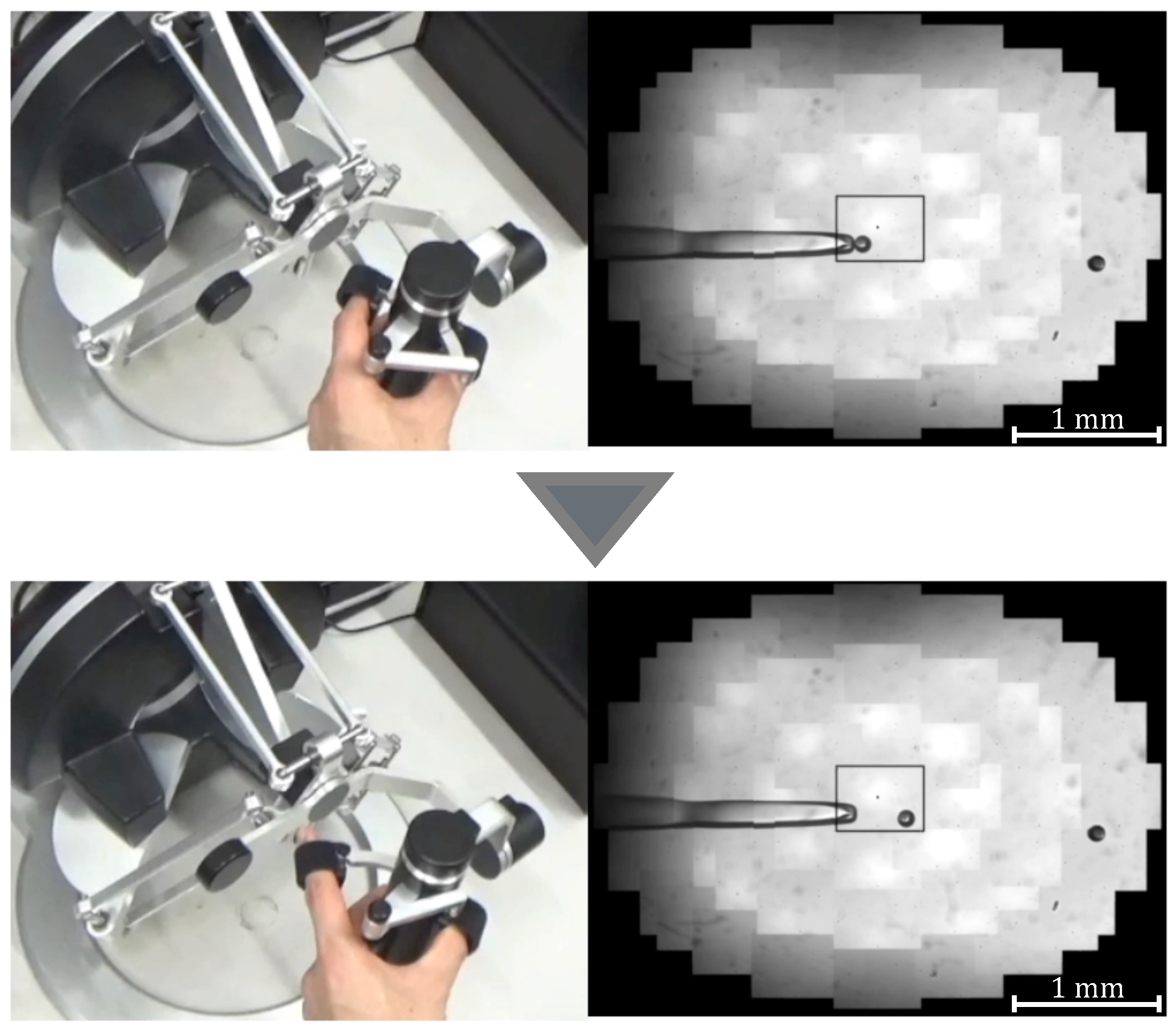 Sensors 24 00711 g006